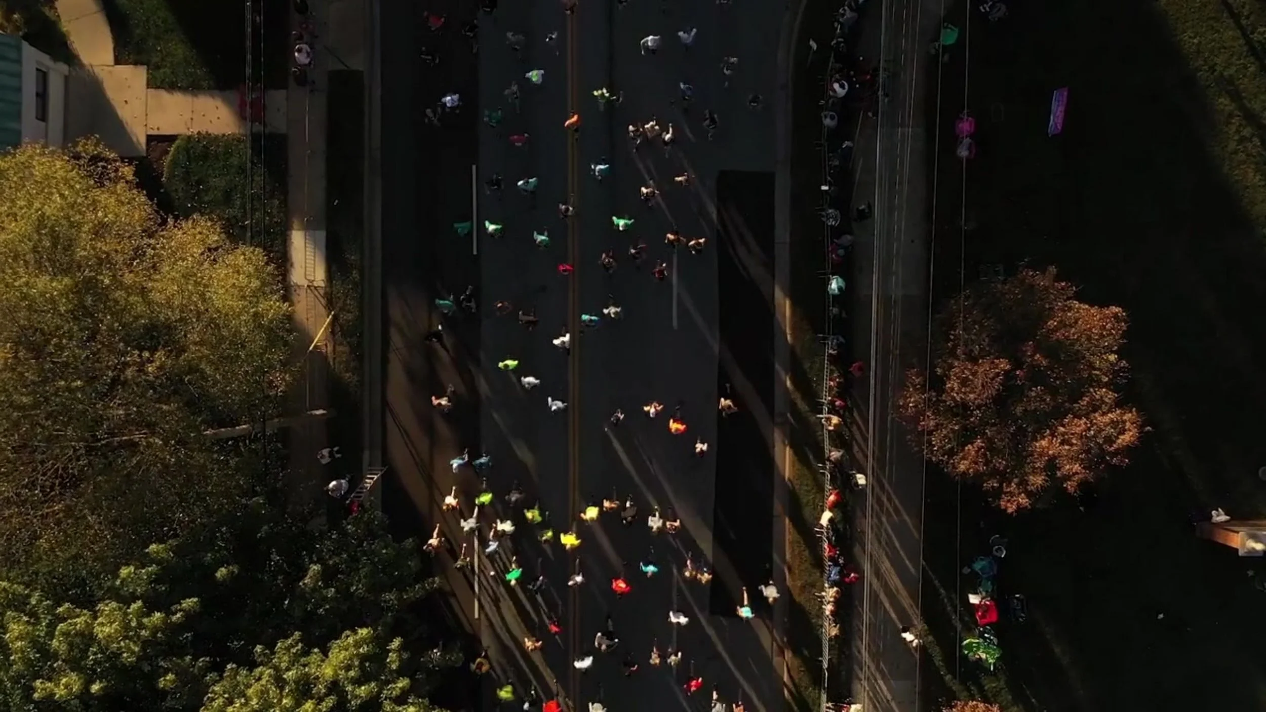 overhead footage.jpg