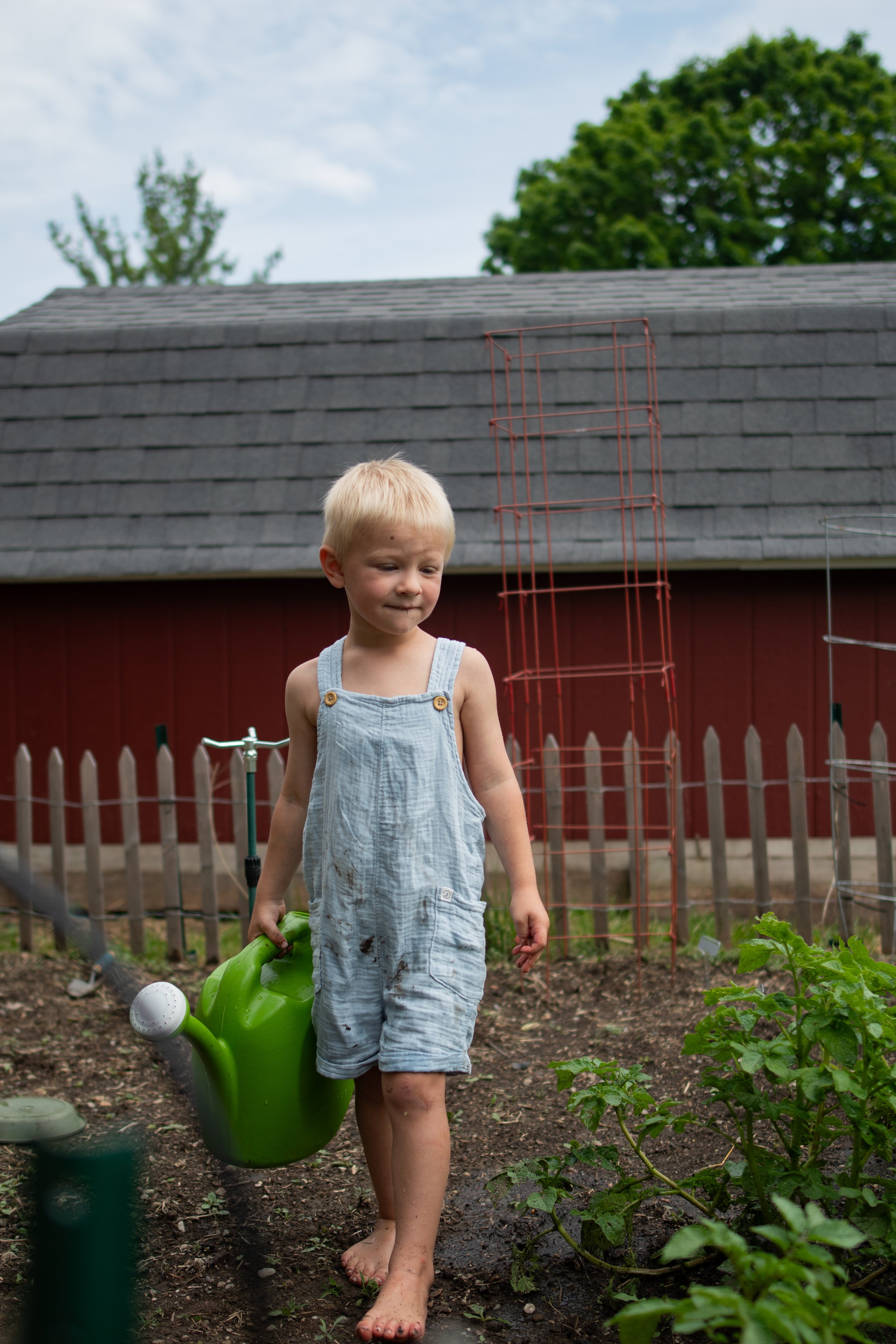 DSC_9461.jpeg