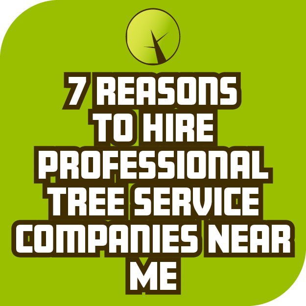 7 Reasons To Hire Professional Tree Service Companies Near Me