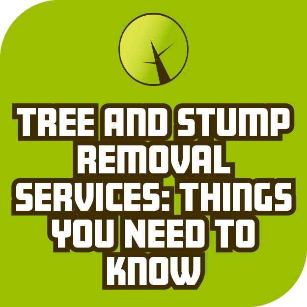 Tree And Stump Removal Services: Things You Need to Know