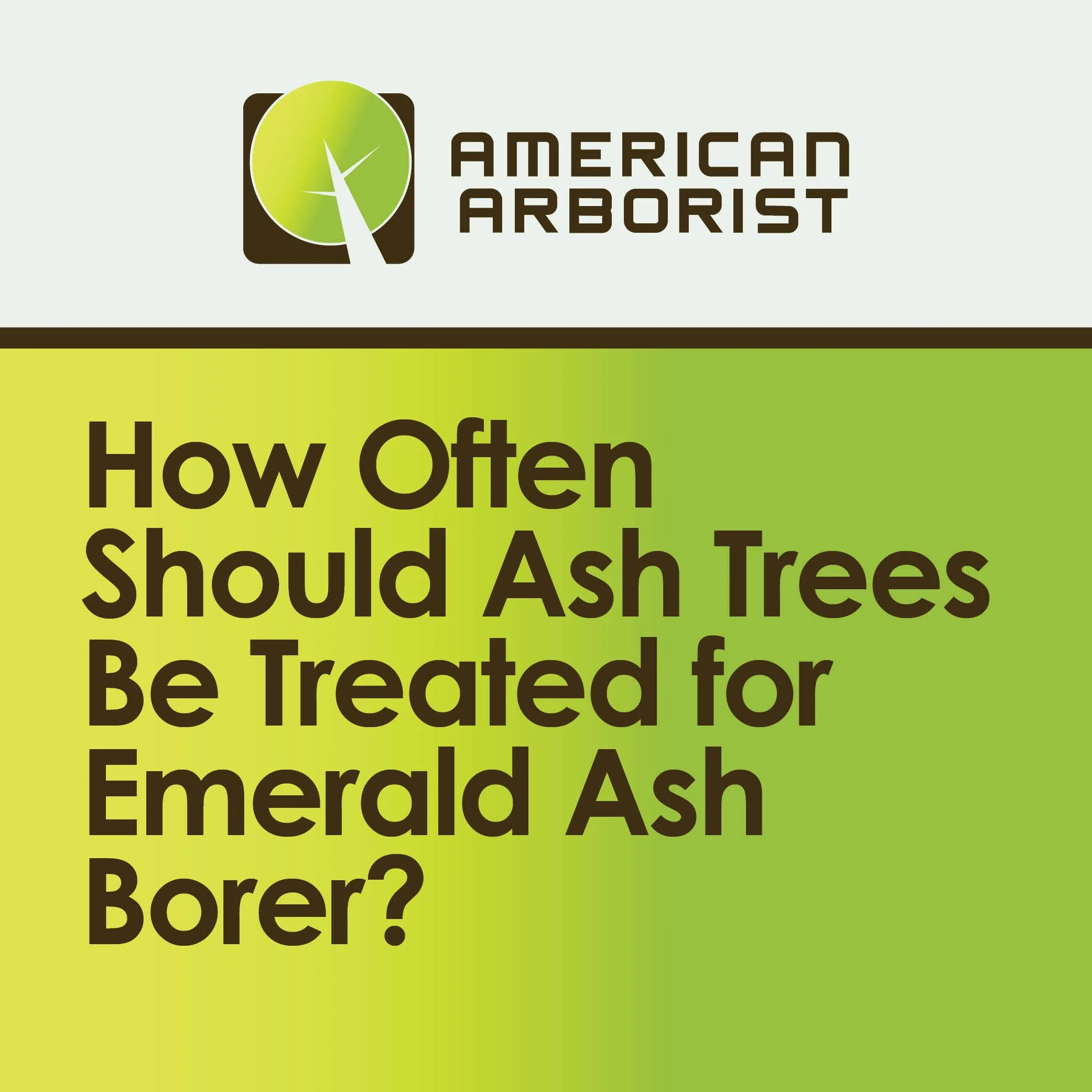 How Often Should Ash Trees Be Treated for Emerald Ash Borer?
