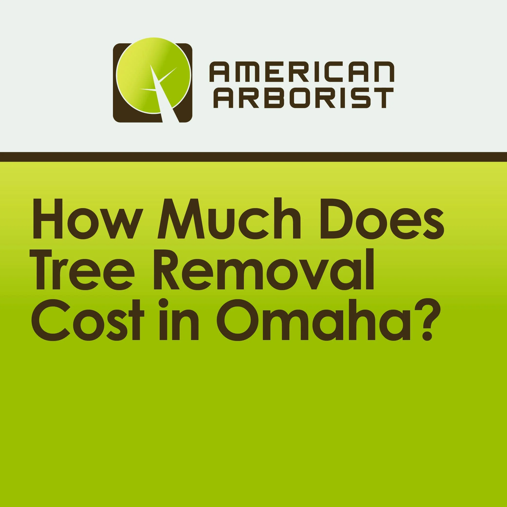 How Much Does Tree Removal Cost in Omaha?
