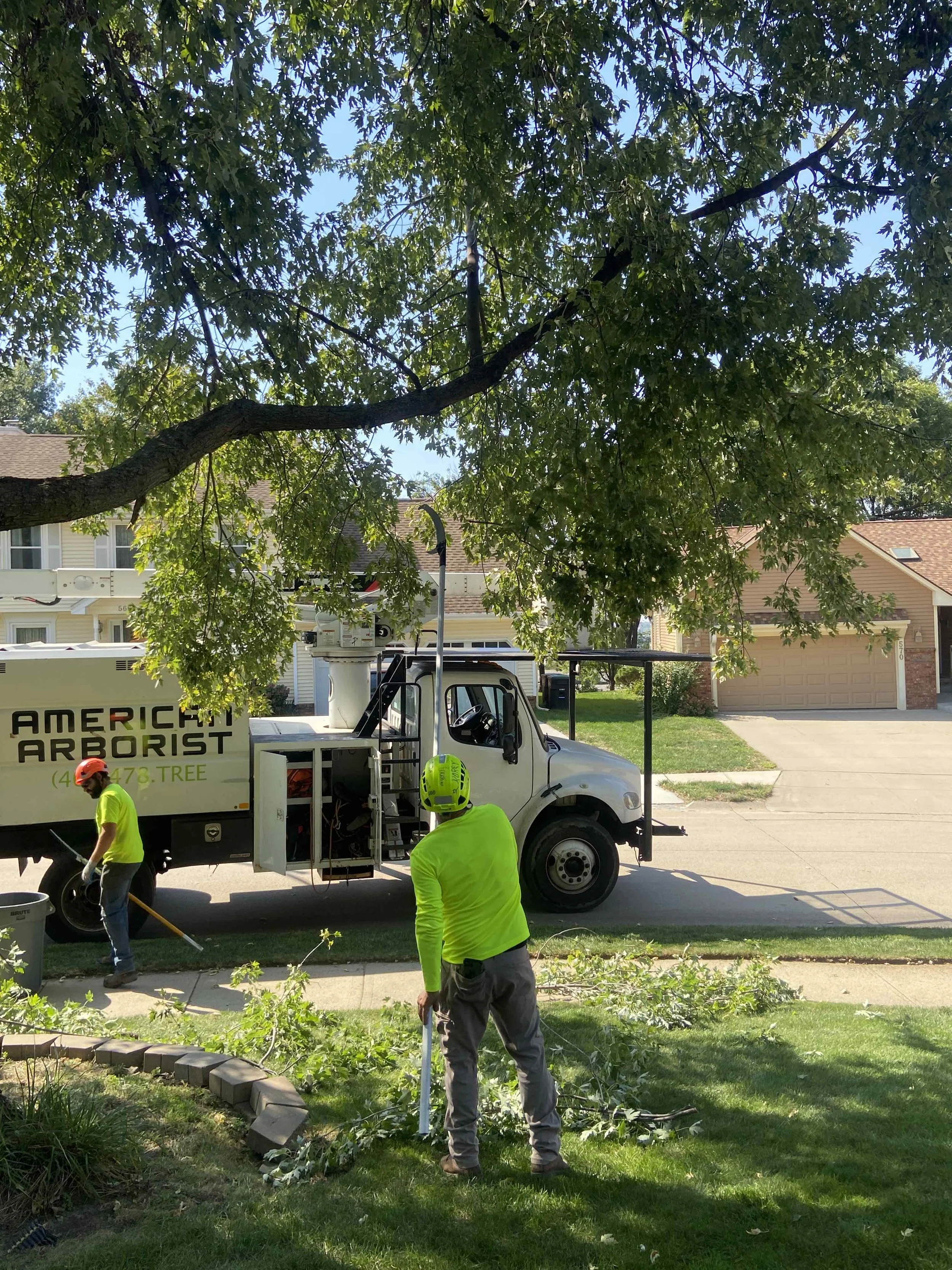 best-omaha-tree-care-2.jpeg