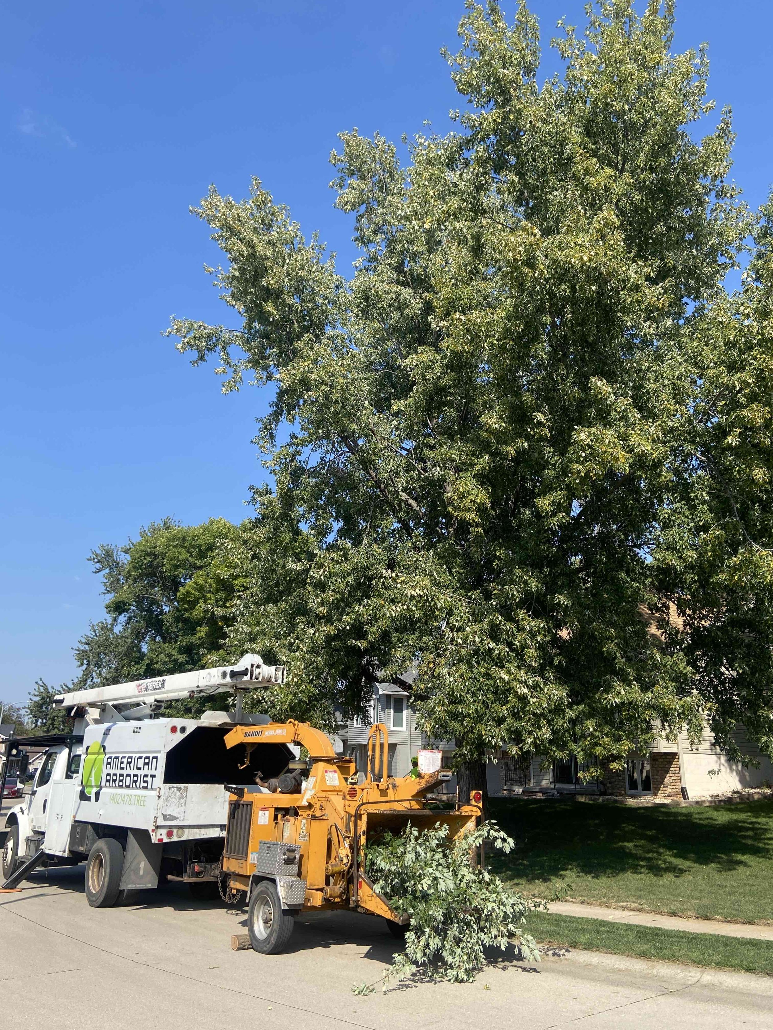 best-omaha-tree-care-3.jpeg