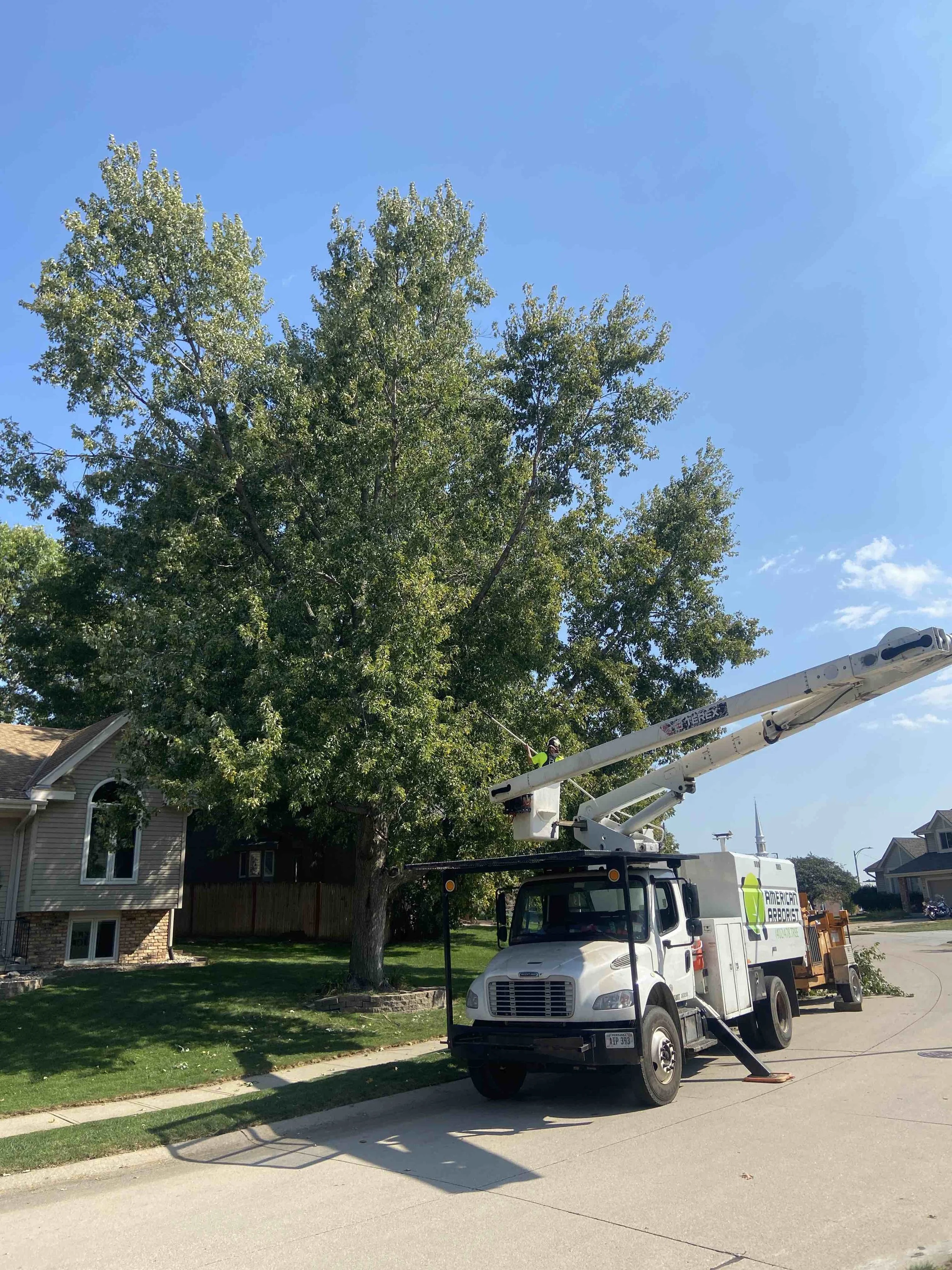 best-omaha-tree-care-6.jpeg