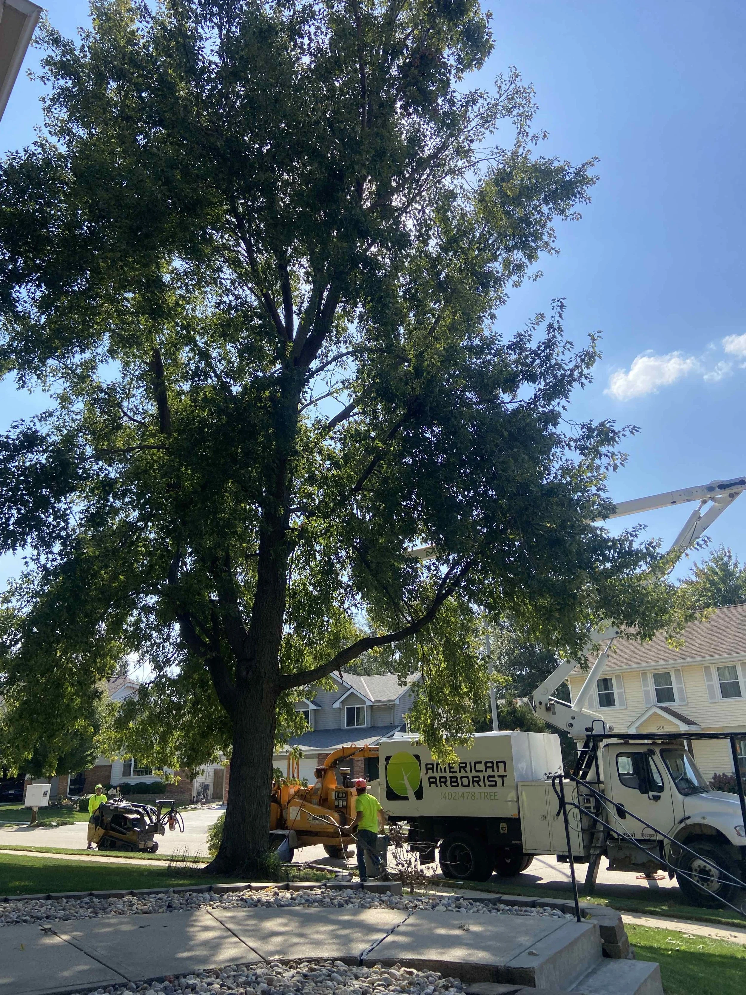 best-omaha-tree-care-7.jpeg