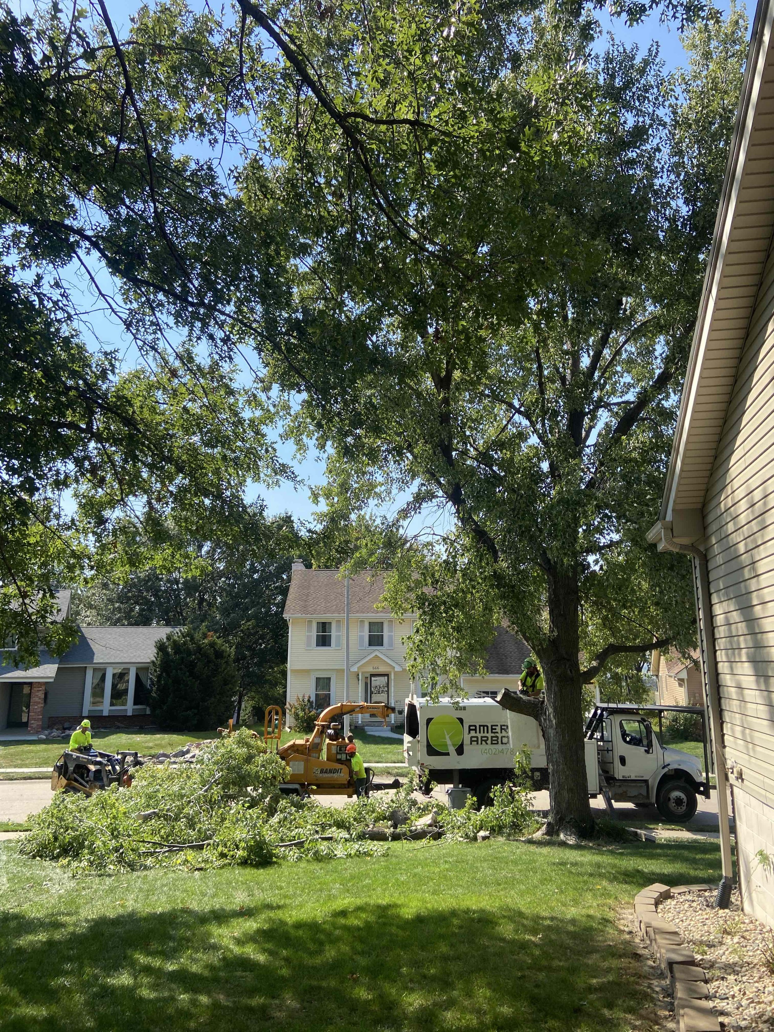 best-omaha-tree-care-8.jpeg