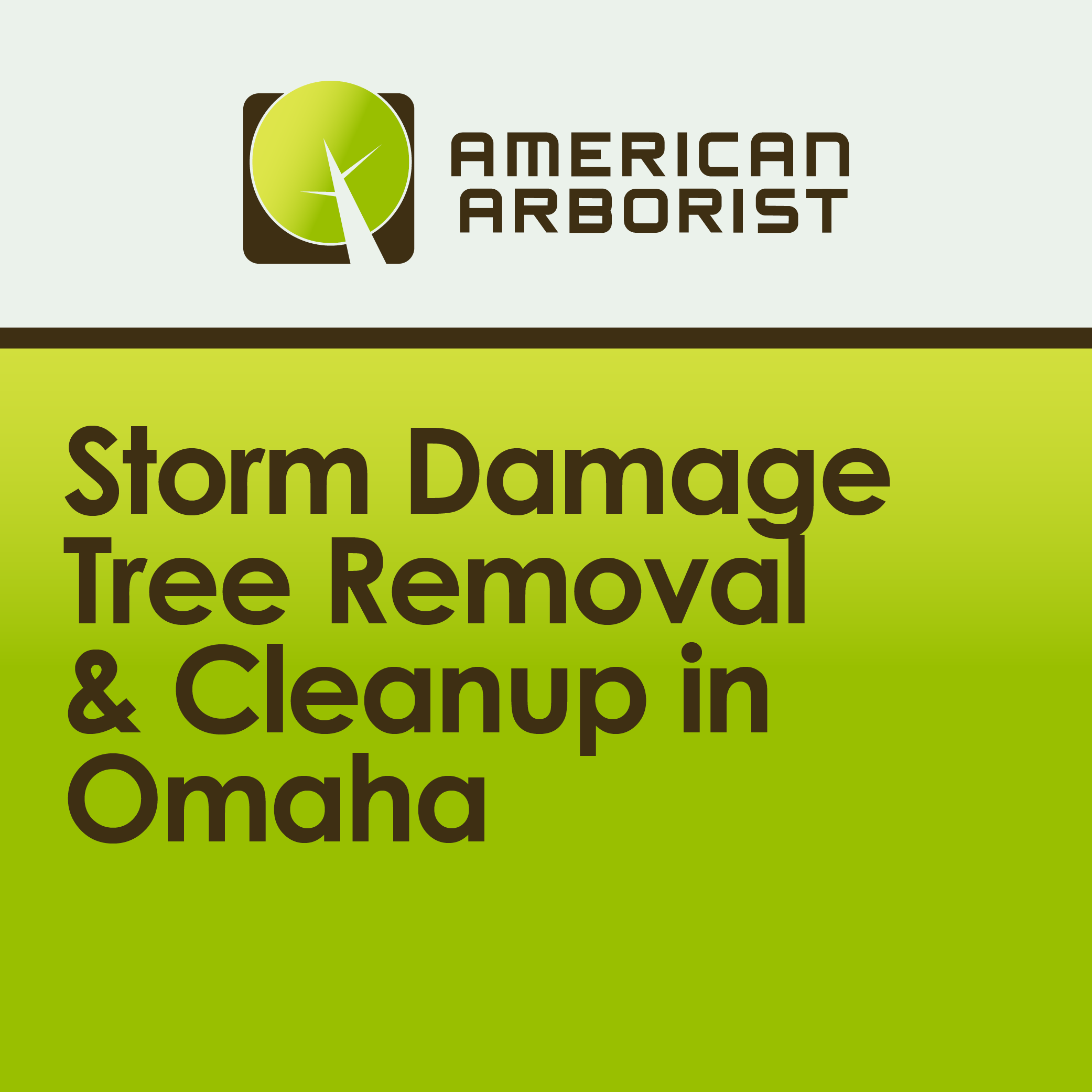 Storm Damage Cleanup in Omaha: What to Do If Your Trees Were Damaged
