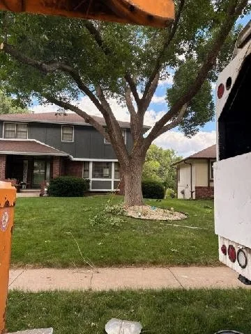 Structural Tree Trimming in West Omaha | Omaha, NE