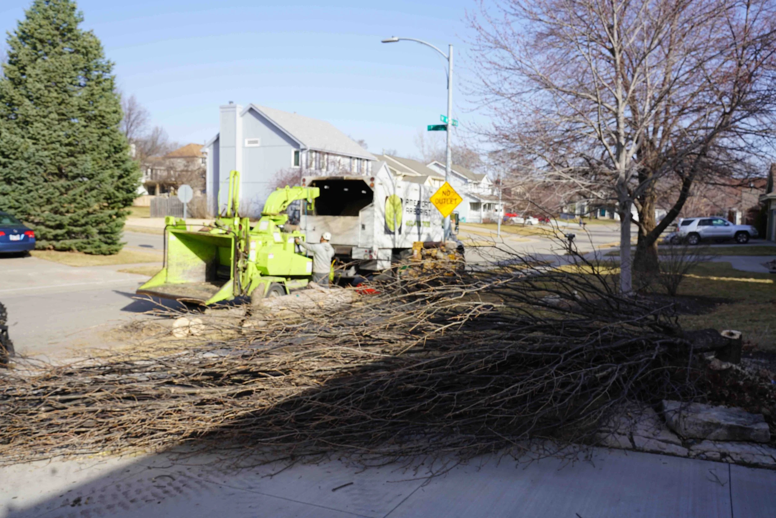 best-tree-removal-omaha-2.jpg