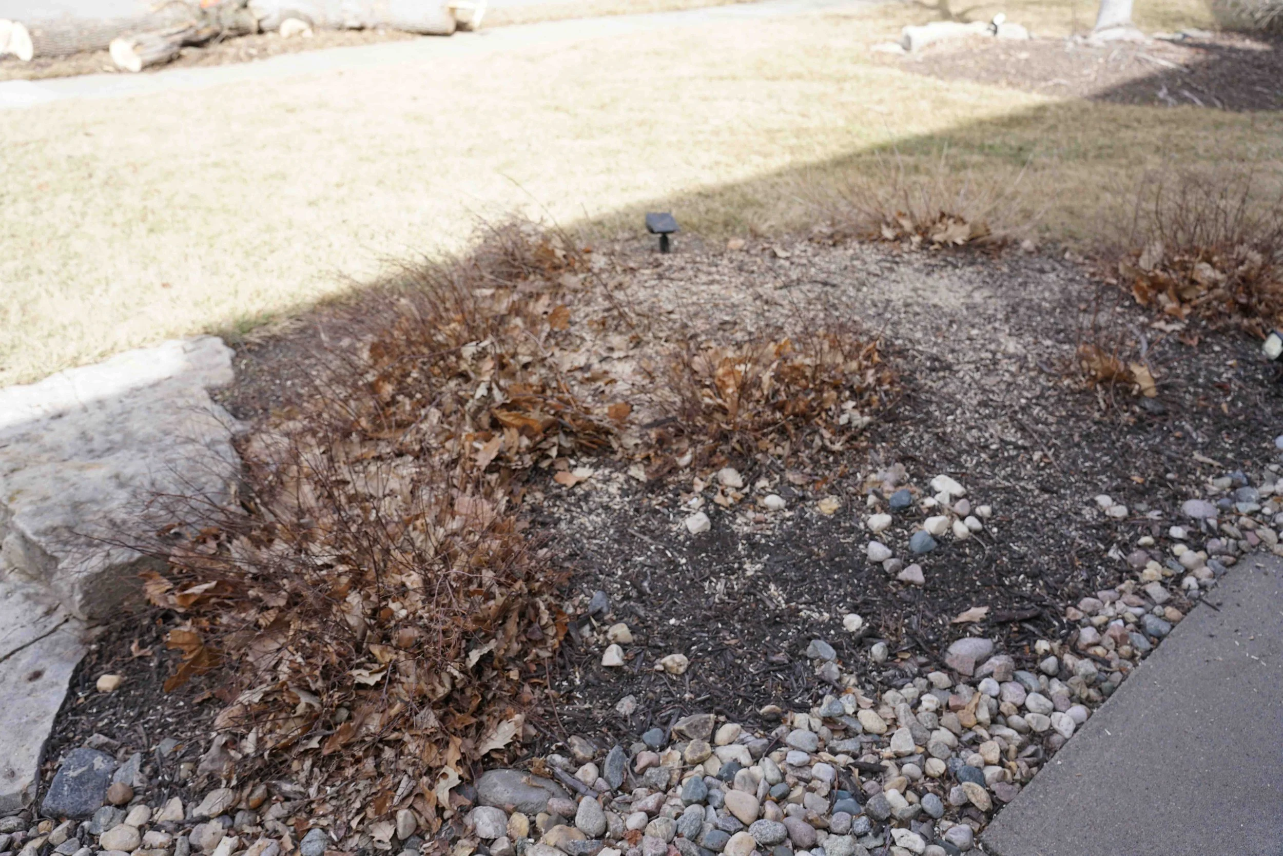 best-tree-removal-omaha-5.jpg