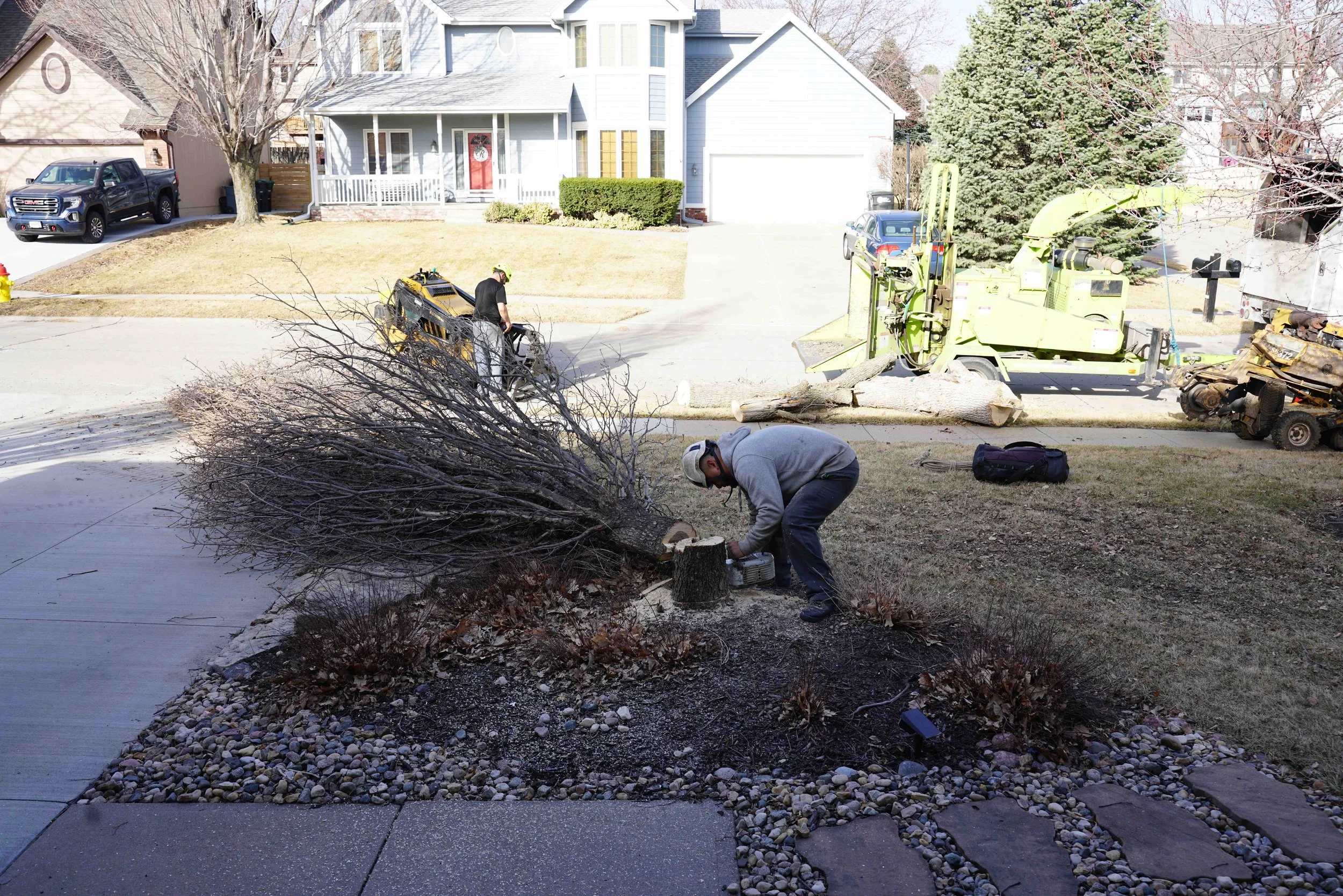 best-tree-removal-omaha-7.jpg