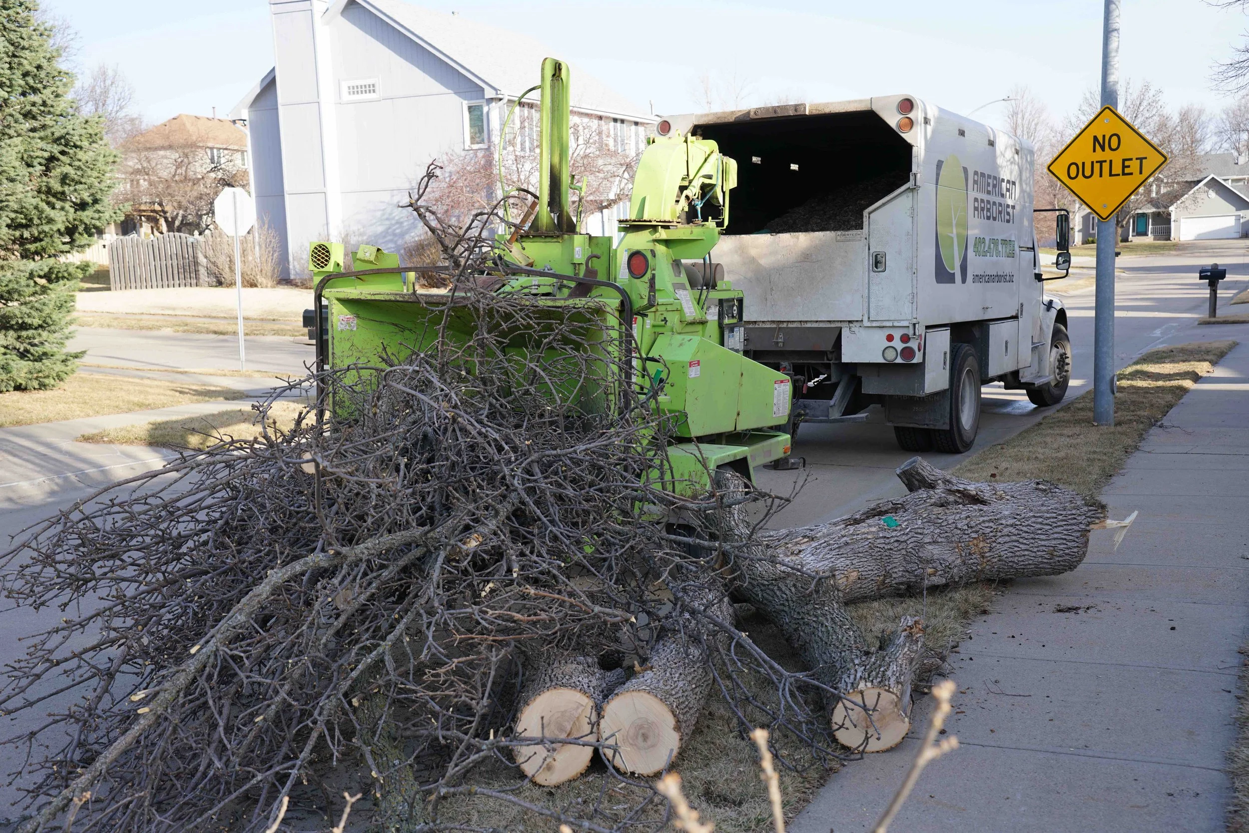 best-tree-removal-omaha-8.jpg