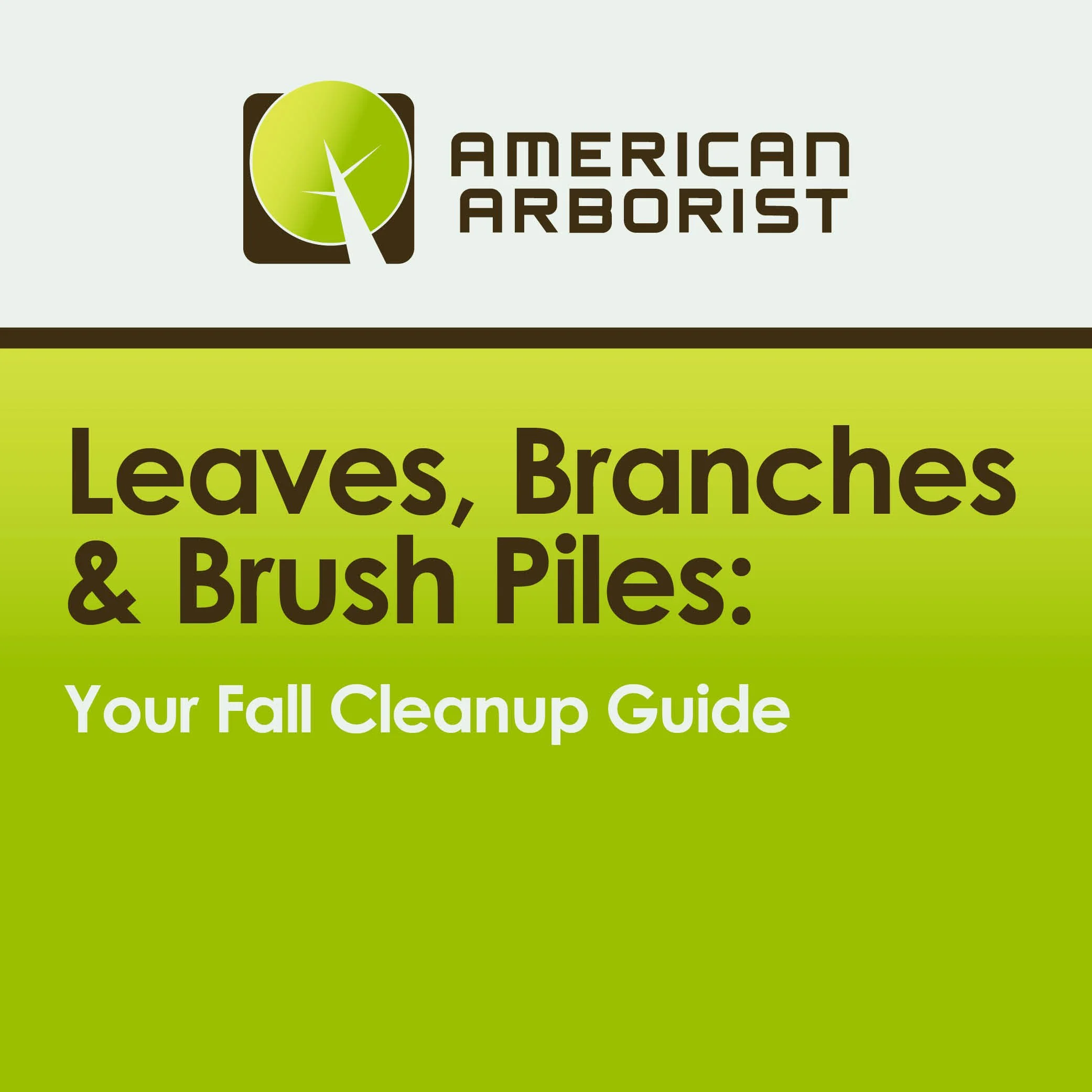 Fall Cleanup in Omaha: What to Do With Leaves, Branches &amp; Brush Piles