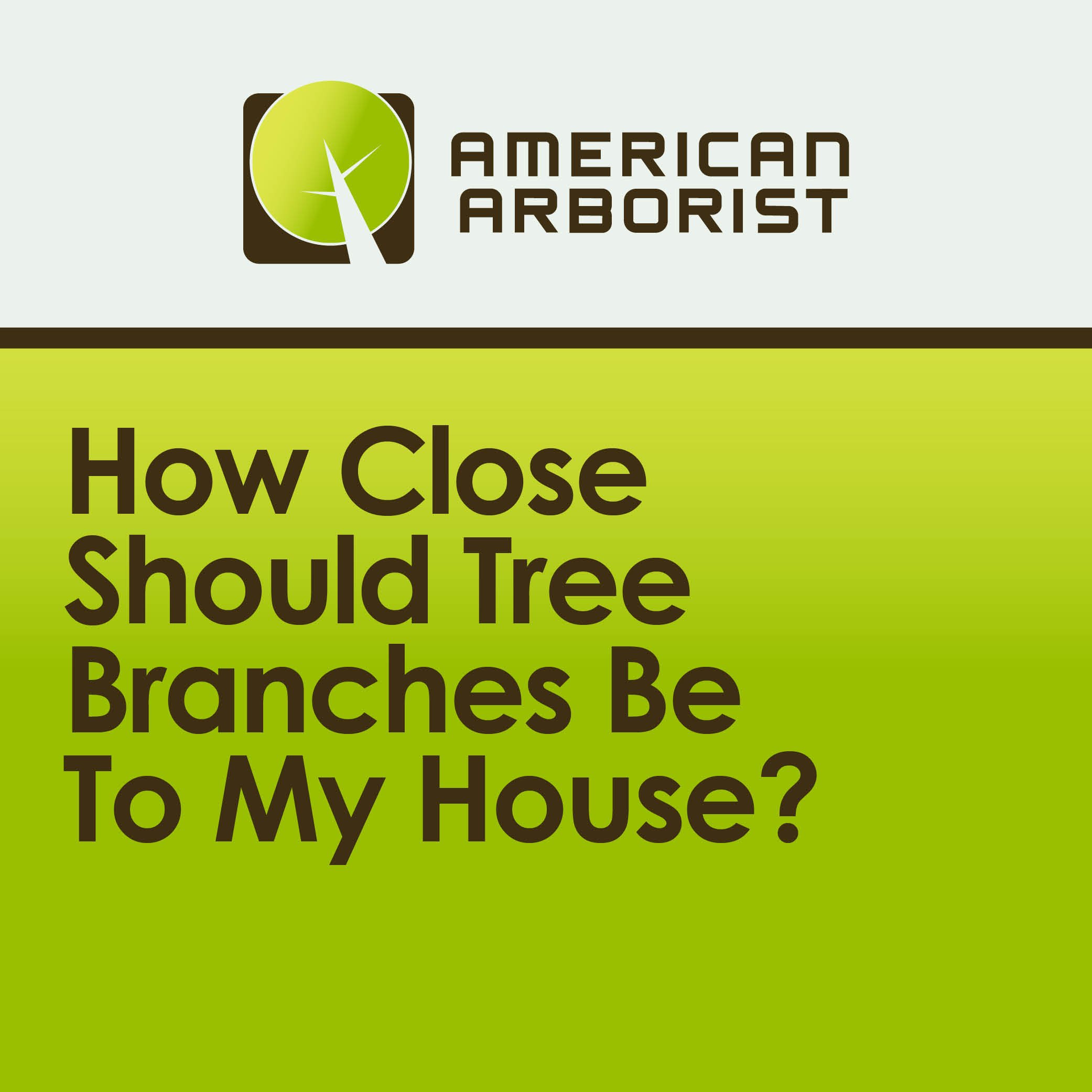 How Close Should Tree Branches Be To My House?