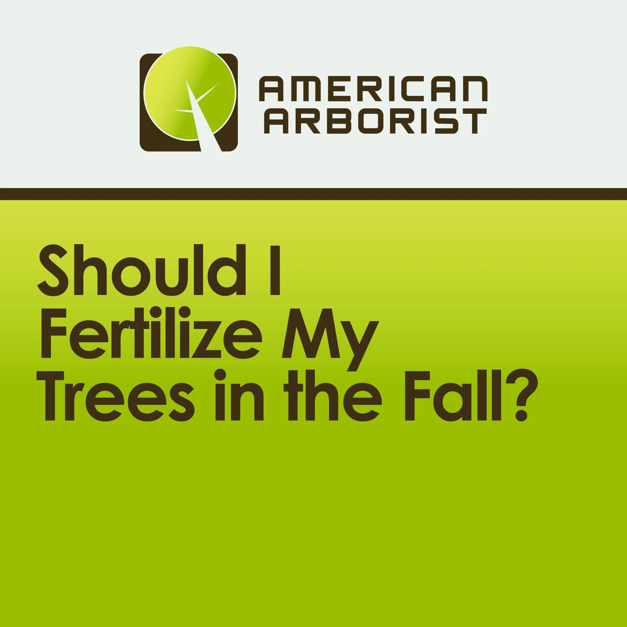 Should I Fertilize My Trees in the Fall?