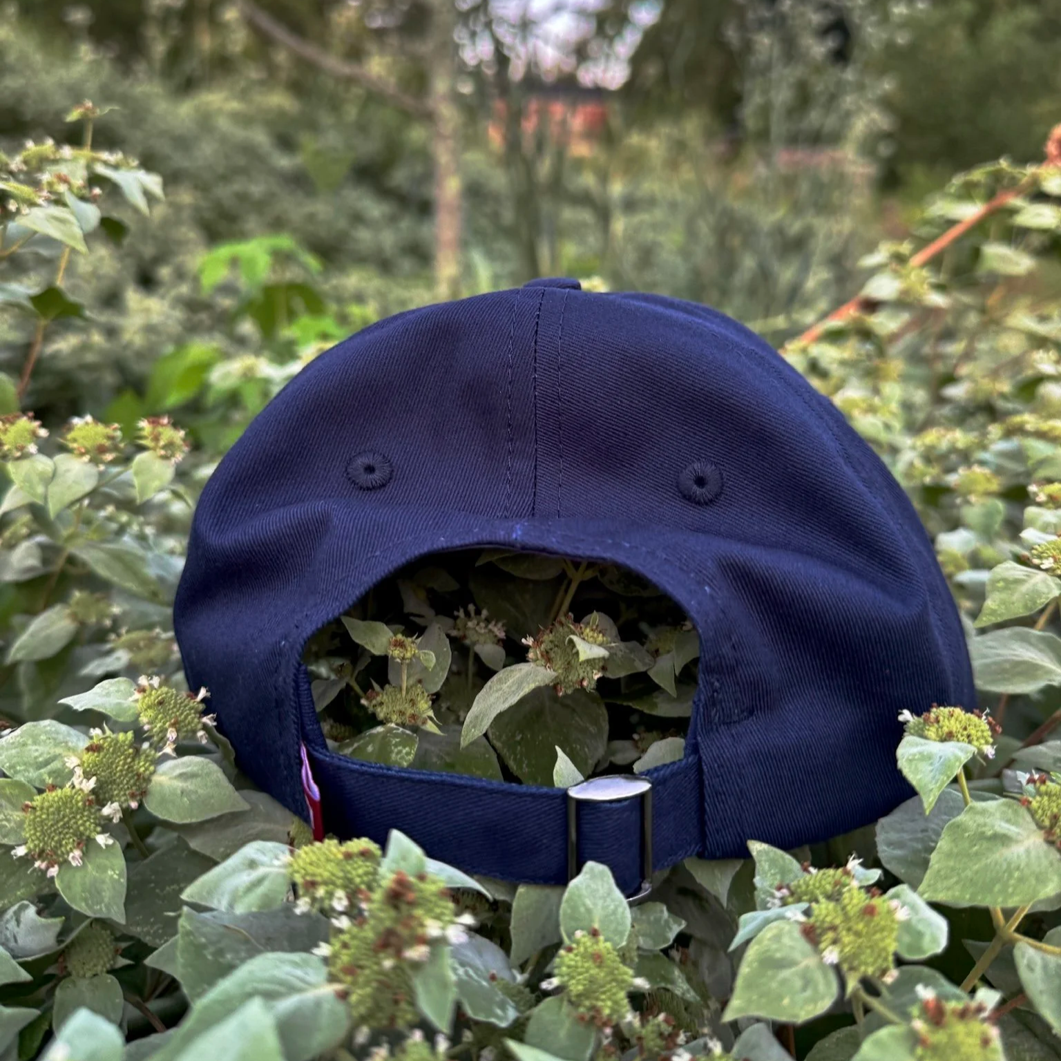 Back of navy dad hat showing adjustable fabric strap with metal clasp, outdoors among green plants