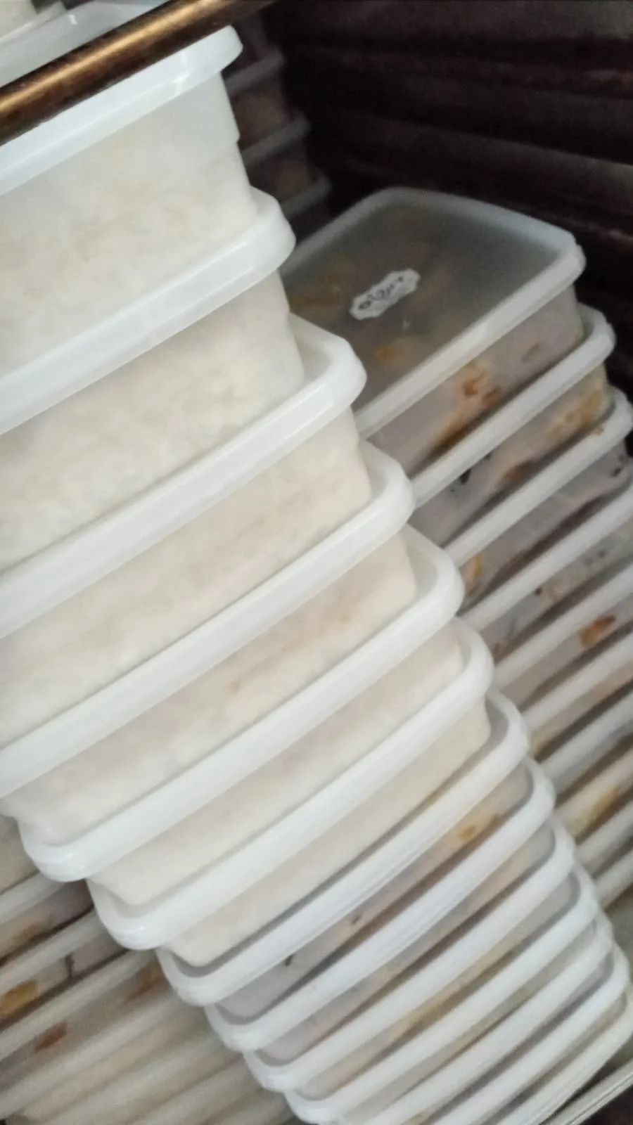 WhatsApp Image 2023-10-26 at 12.26.37 AM.jpeg