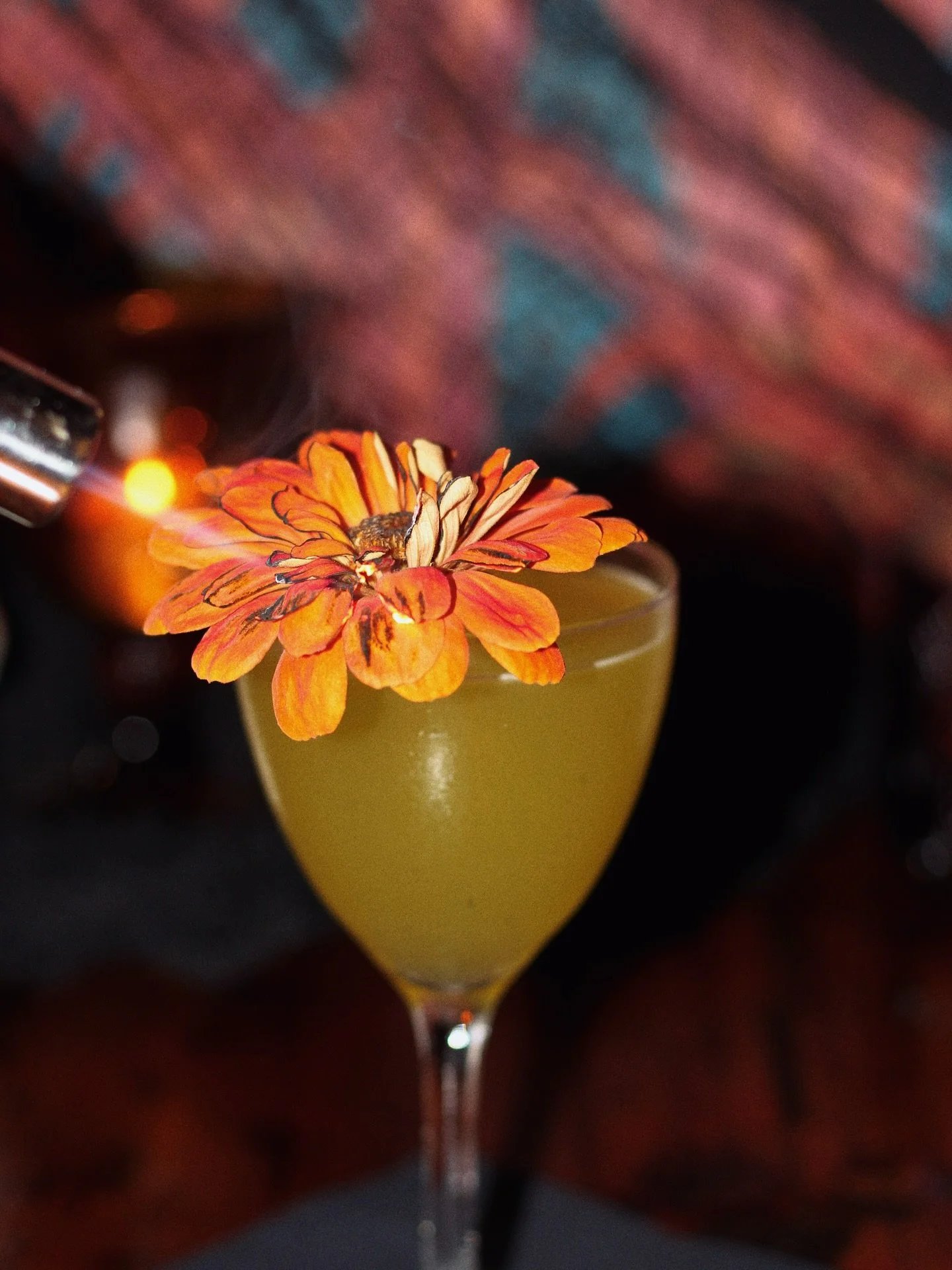 Halloween cocktails only available this month! Come try one of our five ₛₚₒₒₒₒₒₒₖy drinks, inspired by sea monsters and green ghouls. Featured today, the Zuul - Mezcal, Midori, pineapple, lemon, marigold amaro 🌼
Only at Lonely Siren 🧜‍♀️