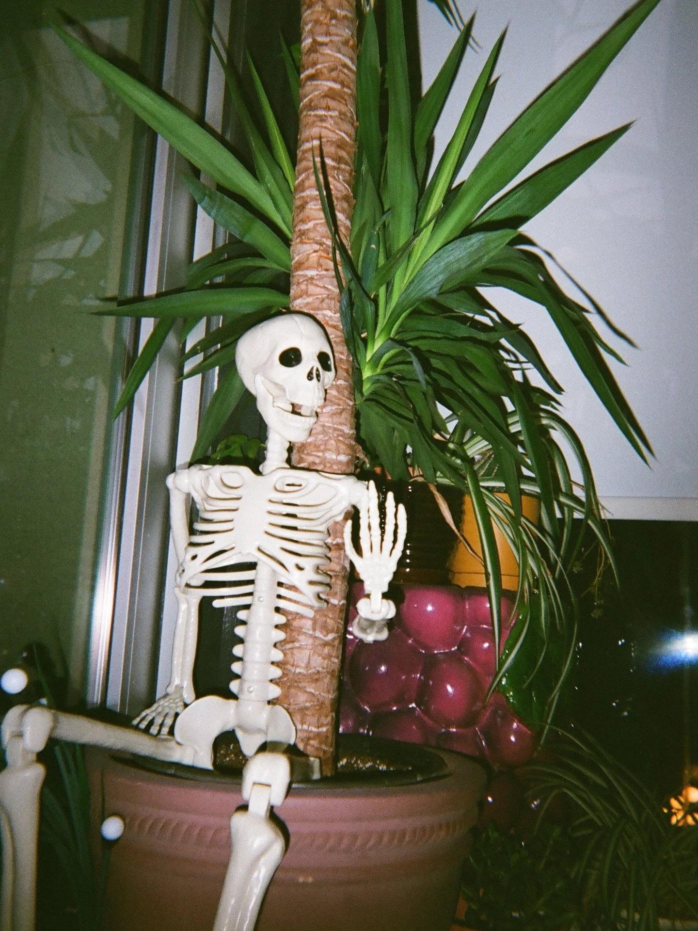 How we&rsquo;re all feeling after yesterday ❤️&zwj;🔥💀

Last day to get Valentine cocktails!! We hope you enjoyed the mix tape we curated just for you 🎧

Only at Lonely Siren 🧜&zwj;♀️