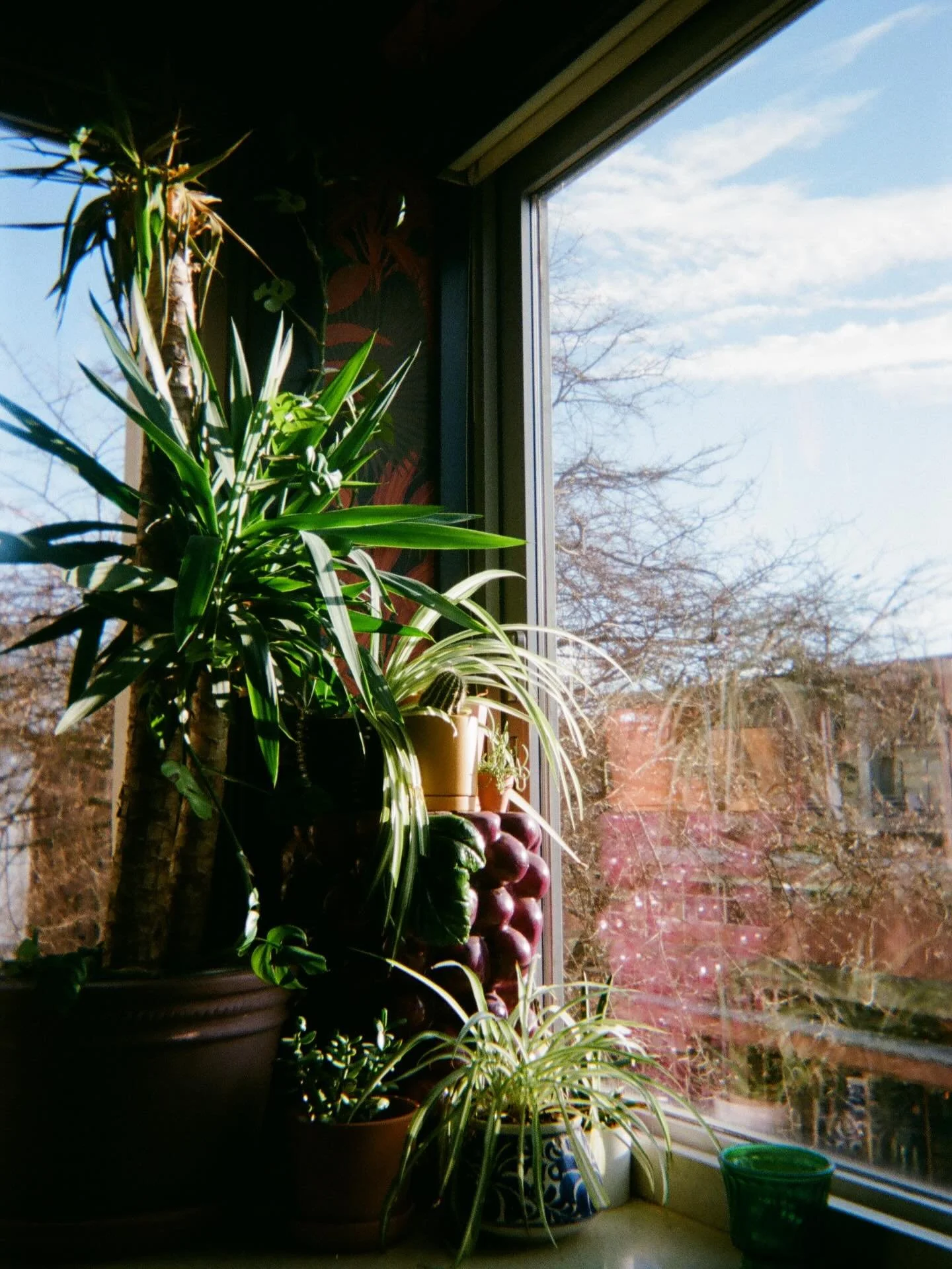 Nothing beats a sunny day cozied up at the bar. Counting down the days until the windows stay open, the sun stays shining, and the drinks stay ice cold in that summer heat 🌞

Only at Lonely Siren 🧜&zwj;♀️