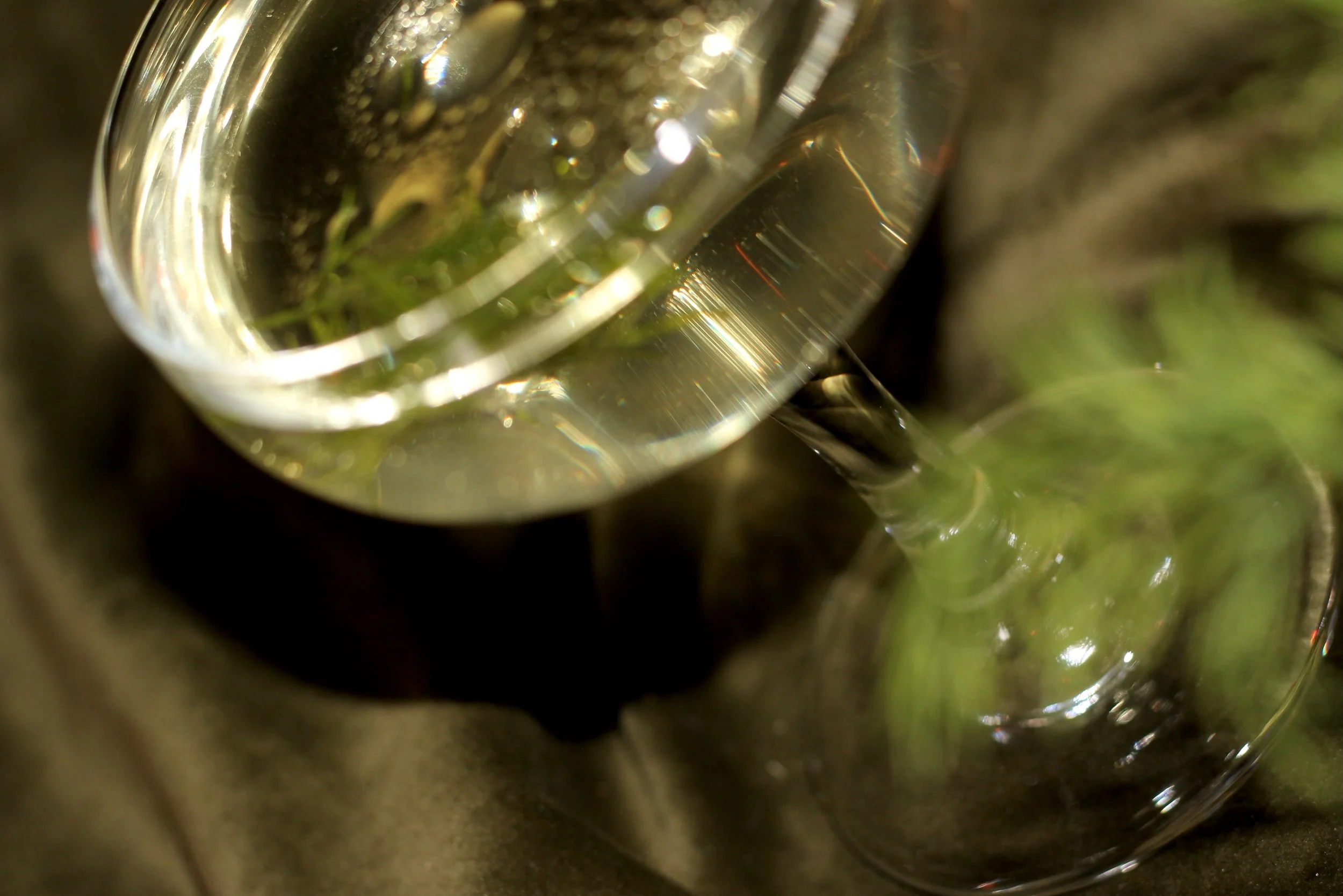 Freshwater Sailor 🔊
ˈfrɛʃˌwɔtər ˈseɪlər
&mdash;&mdash;&mdash;&mdash;&mdash;&mdash;&mdash;&mdash;&mdash;&mdash;&mdash;&mdash;&mdash;&mdash;&mdash;&mdash;&mdash;&mdash;&mdash;&mdash;&mdash;&mdash;&mdash;&mdash;&mdash;&mdash;&mdash;

Dill infused aquav