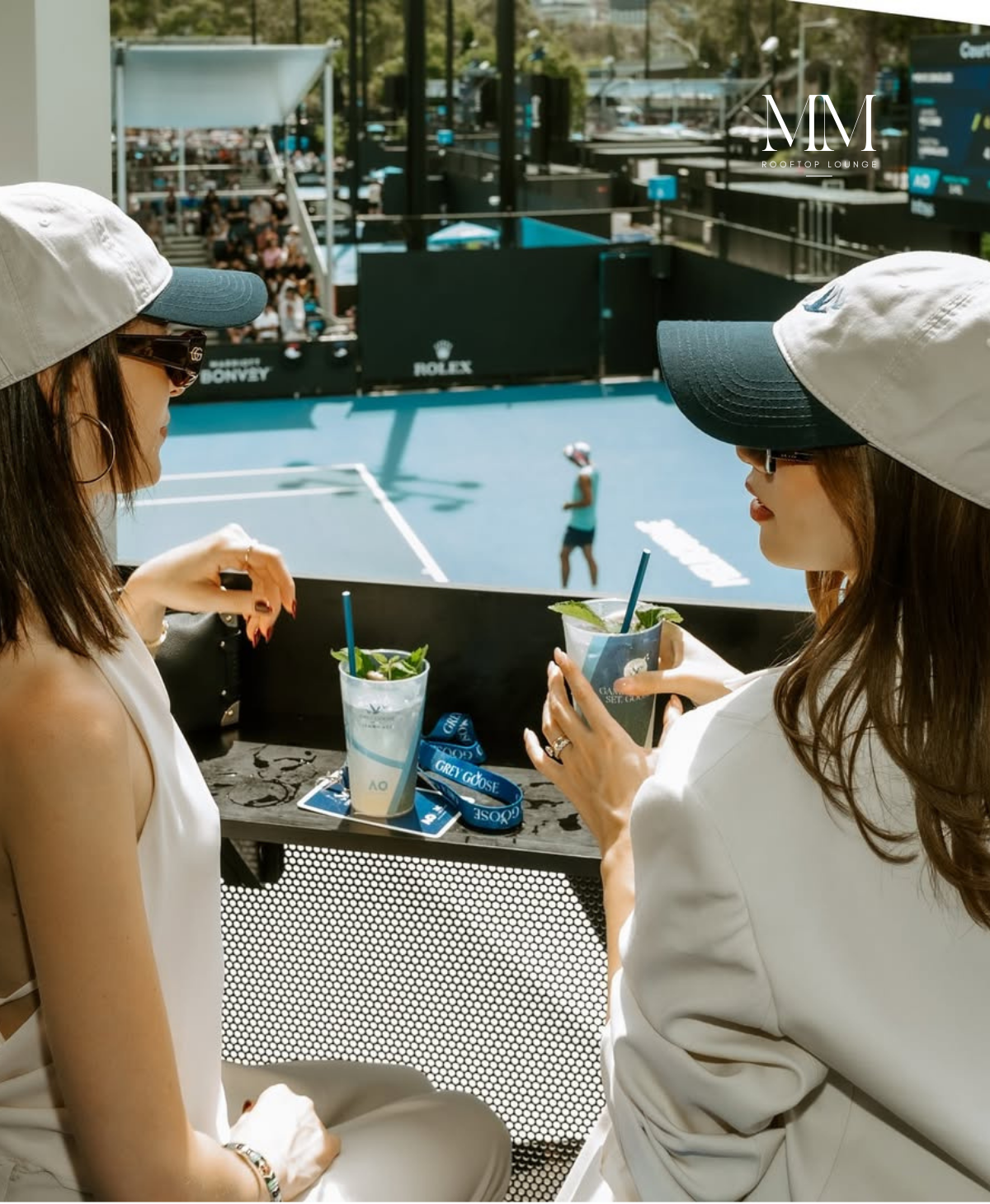 Grey Goose Lemon Ace