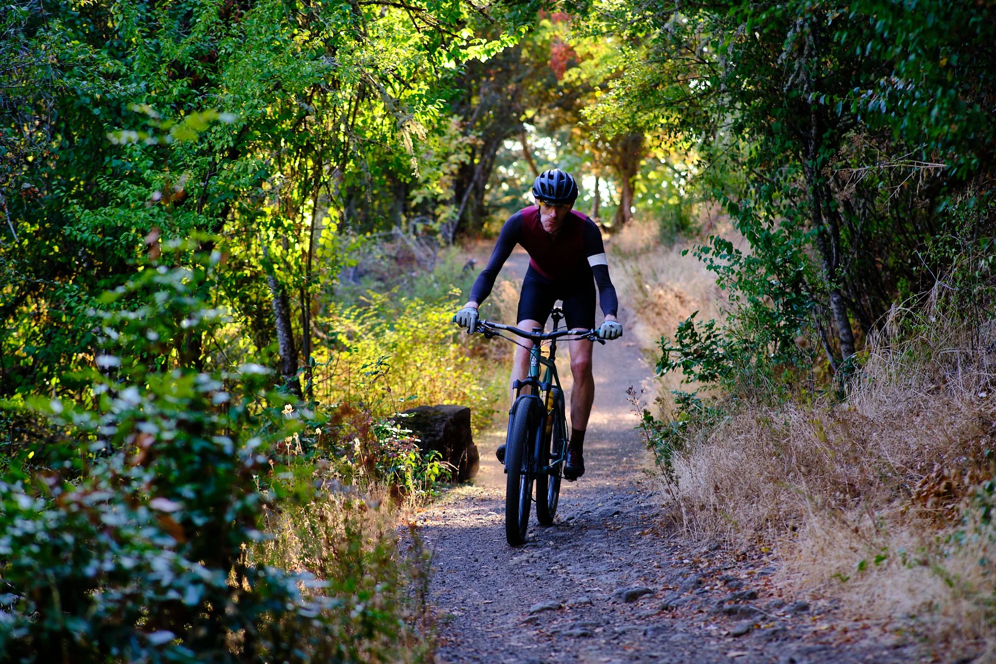 Frame, Fork, Rider: Ron Lewis X Smeltzer