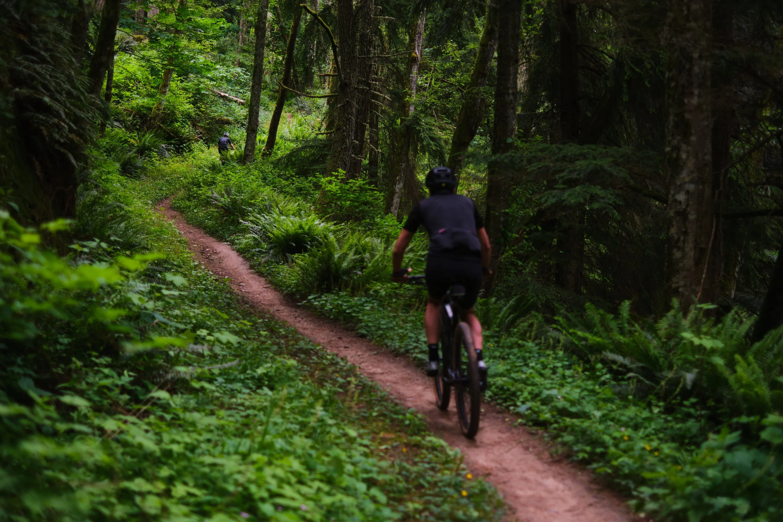Rapha FAR01: Bellingham