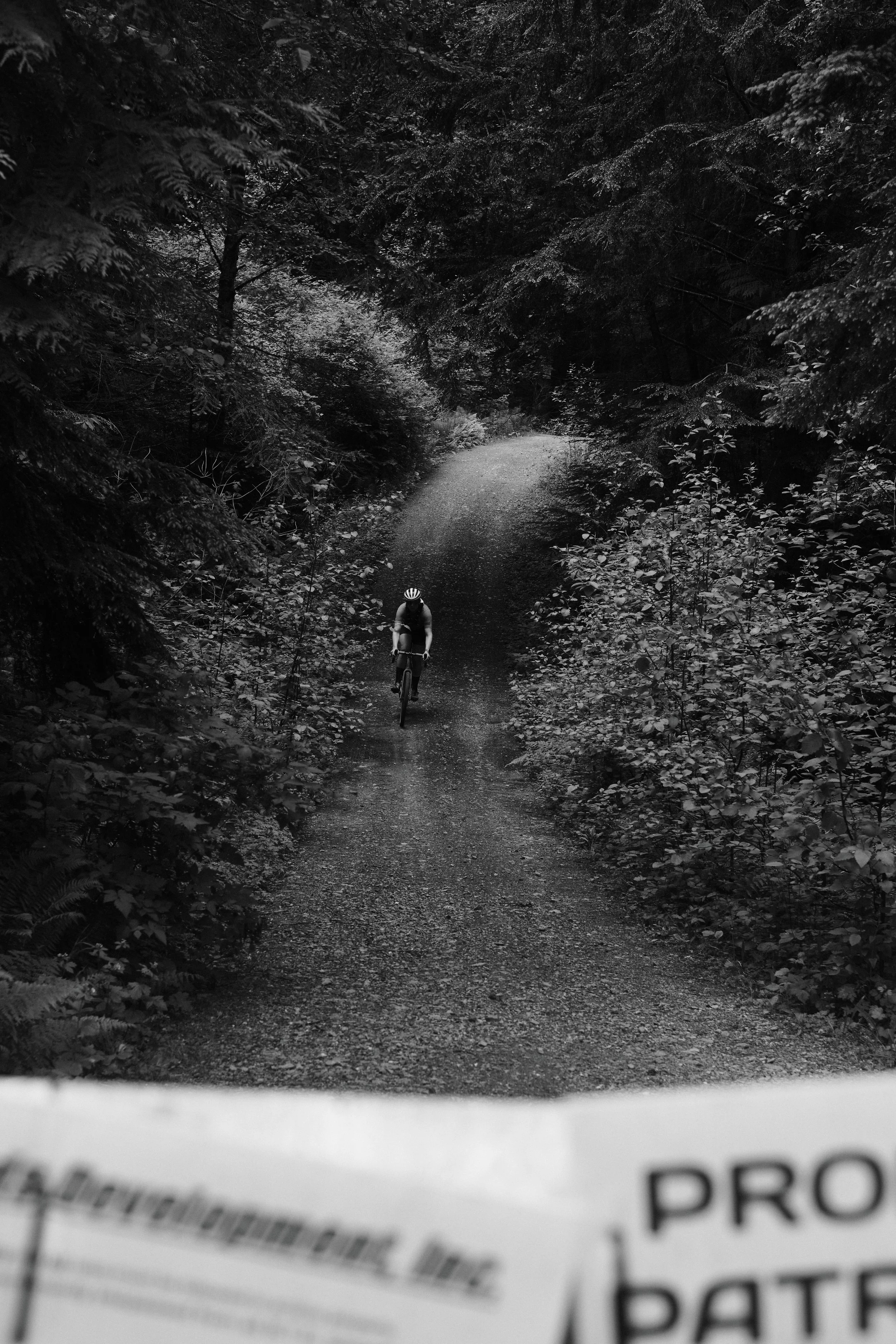 20260530_RaphaFAR_01bellingham_Alkhamees_ 114.jpg