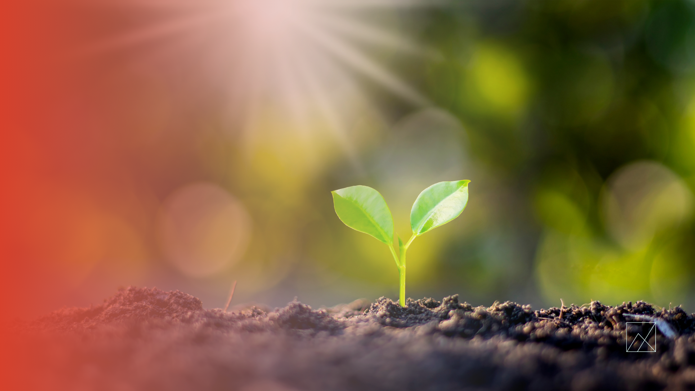 5 to Thrive Daily Checklist for Real Estate Agents