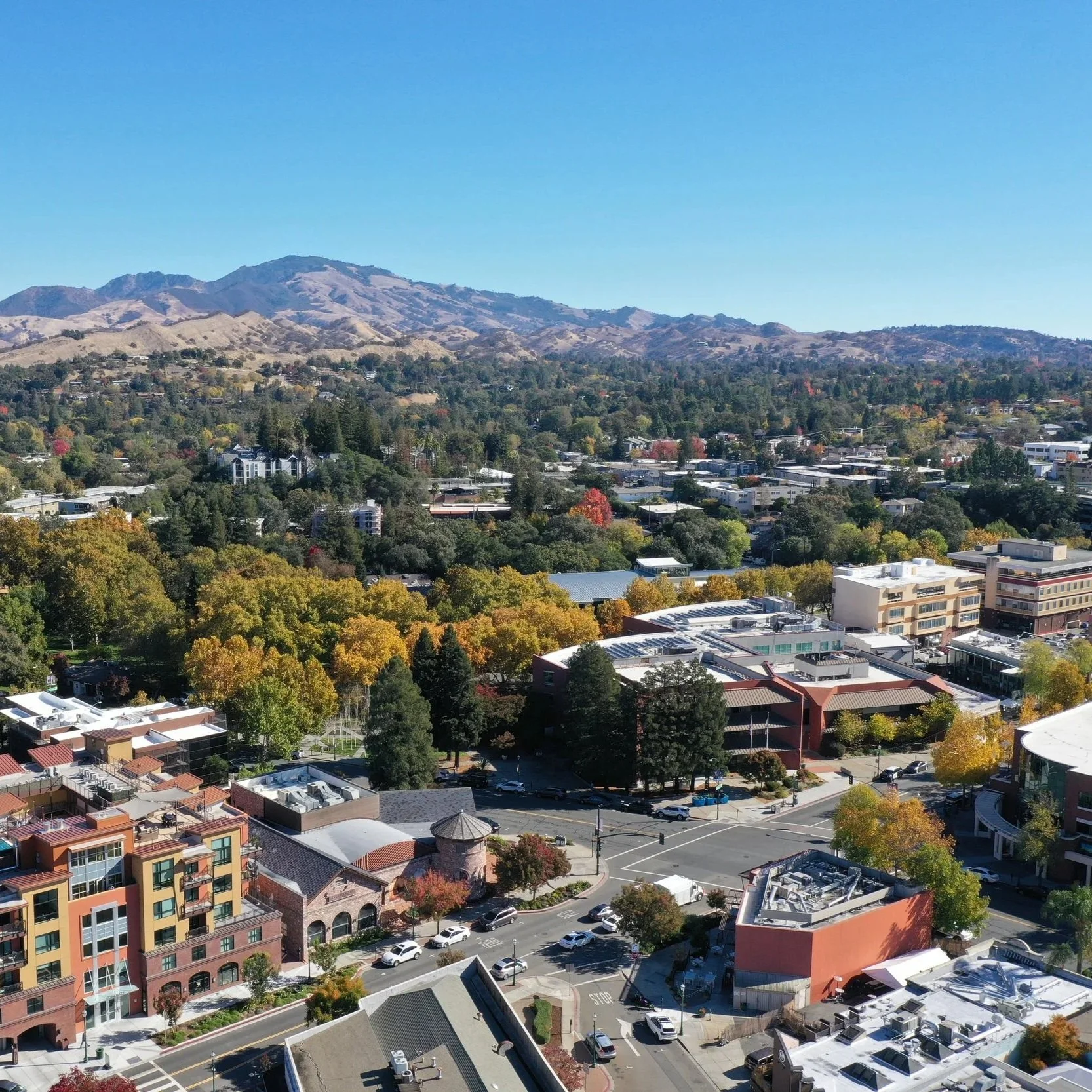 Best Neighborhoods in Walnut Creek CA (2026 Guide)