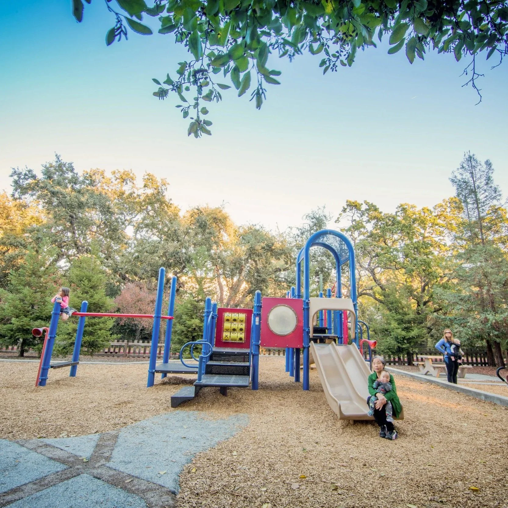 Best Parks in Walnut Creek CA (Local Guide)