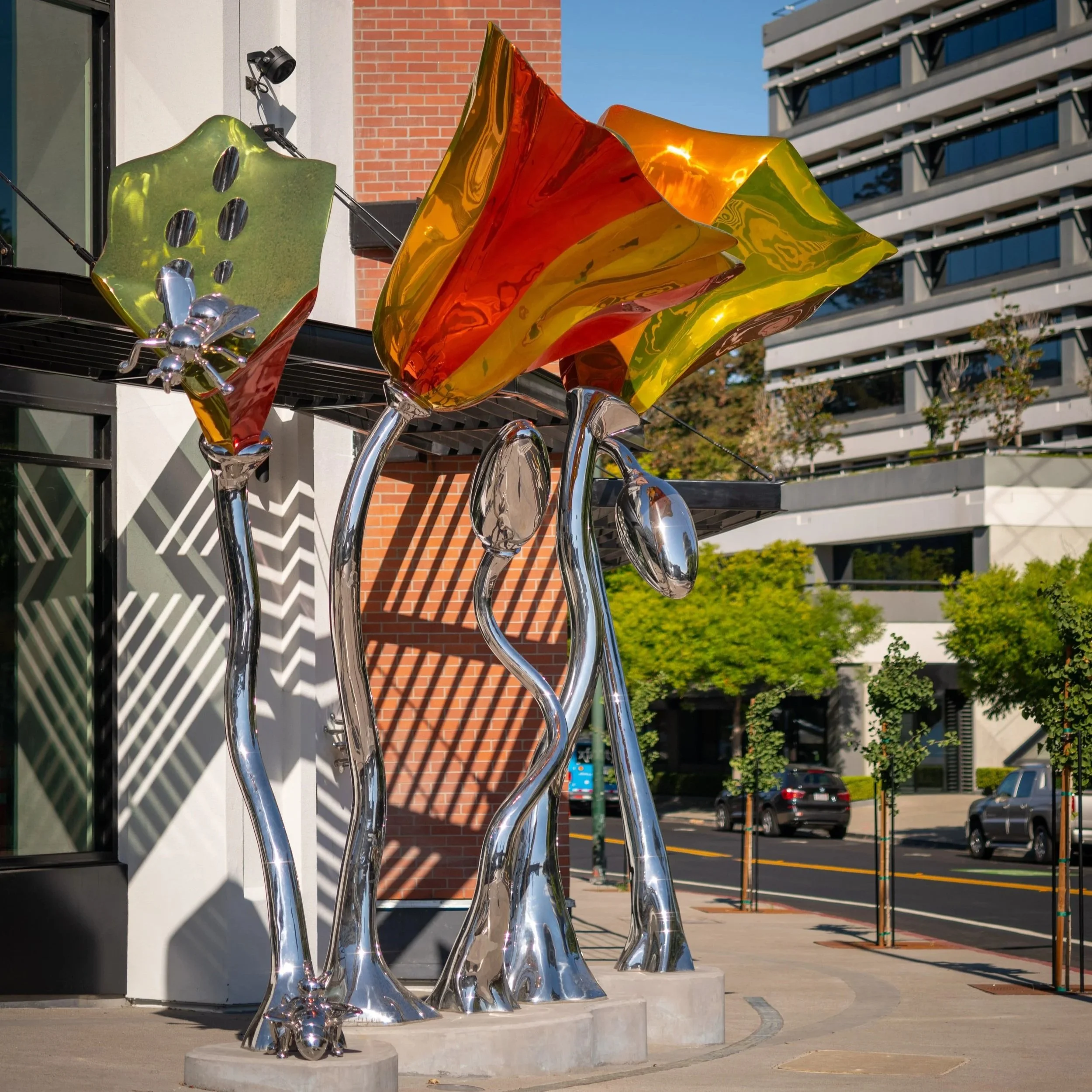 A Local’s Take: What Makes Walnut Creek a Great Place to Call Home