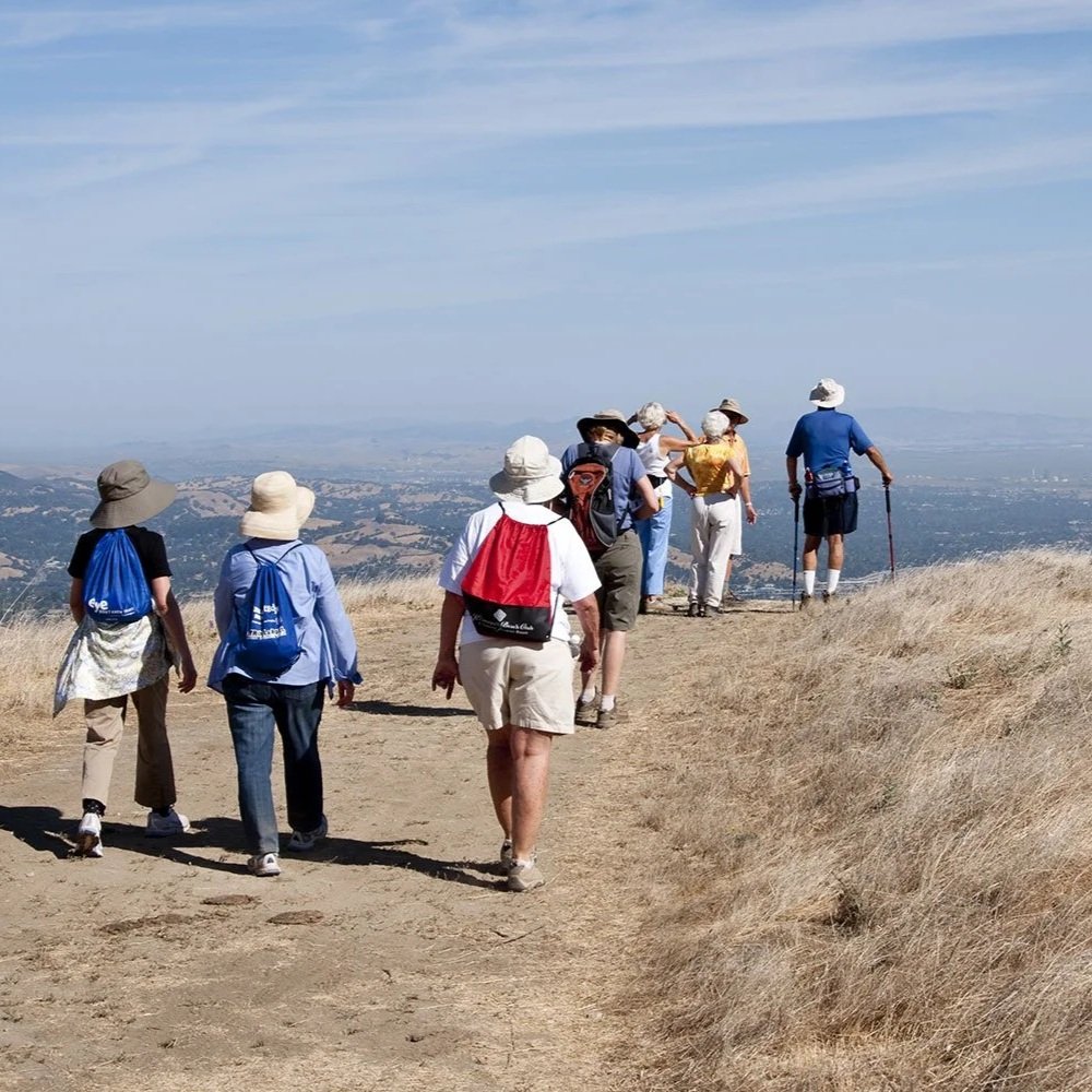Where to Live in Walnut Creek for the Best Shopping &amp; Entertainment