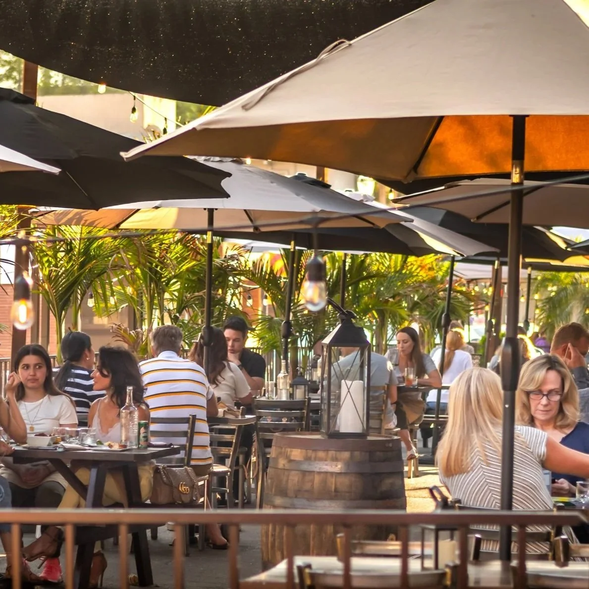 Family-Friendly Communities in Walnut Creek With Great Schools