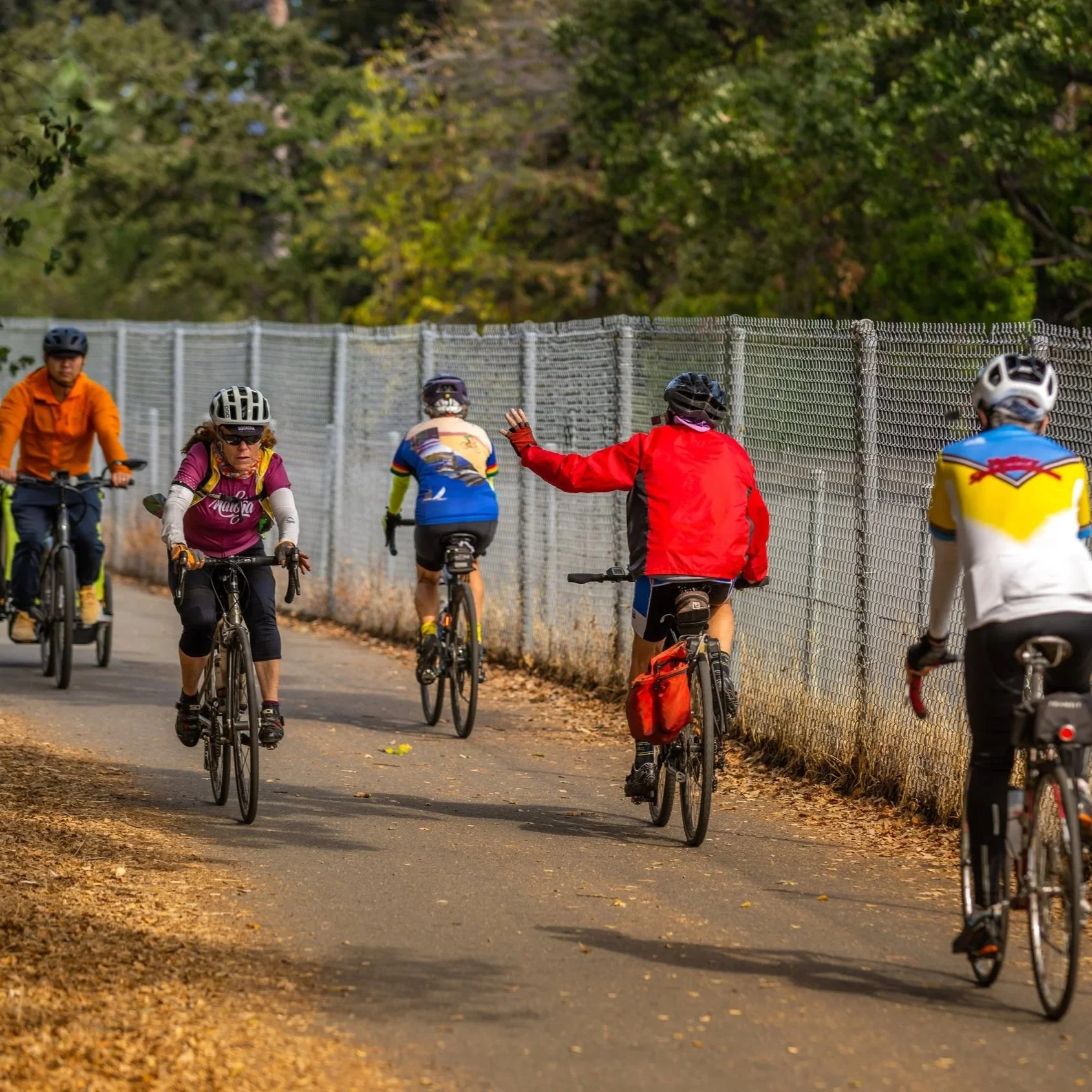 Things to Do in Walnut Creek: A Local’s Guide for New Residents