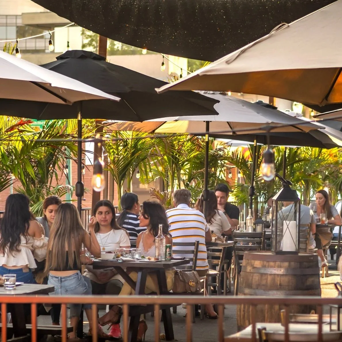 Walnut Creek This Week: A Fast Local Market, a Busy Downtown Weekend, and a City Hall Item Worth Watching