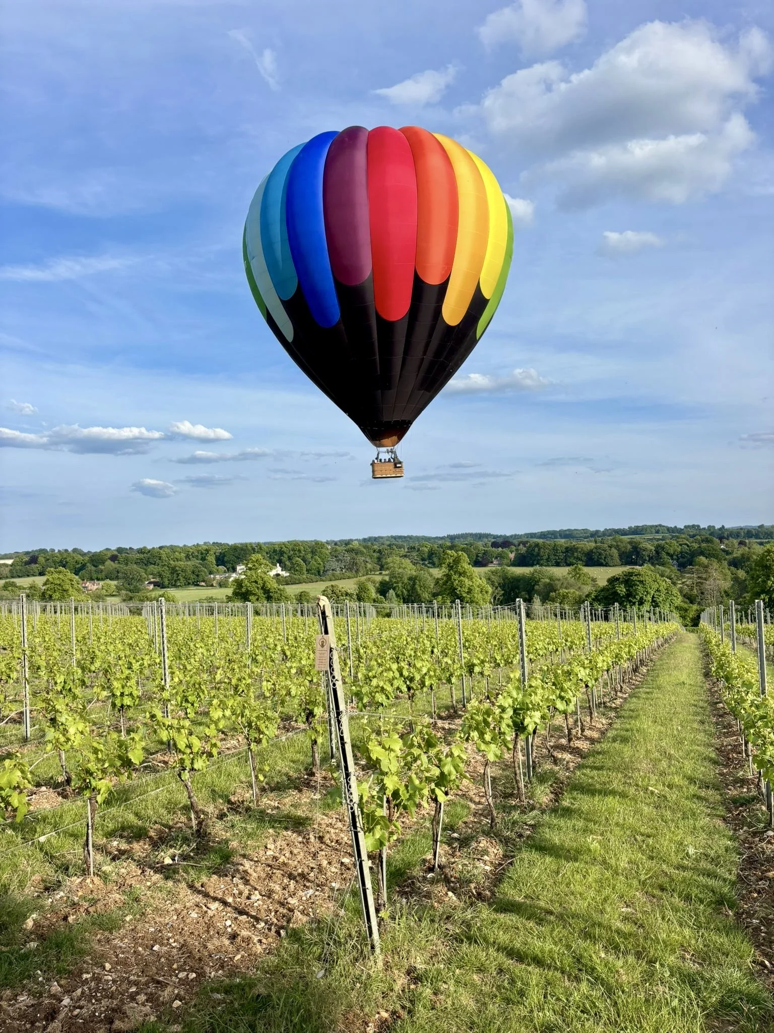 Hot Air Balloon Shot.jpg