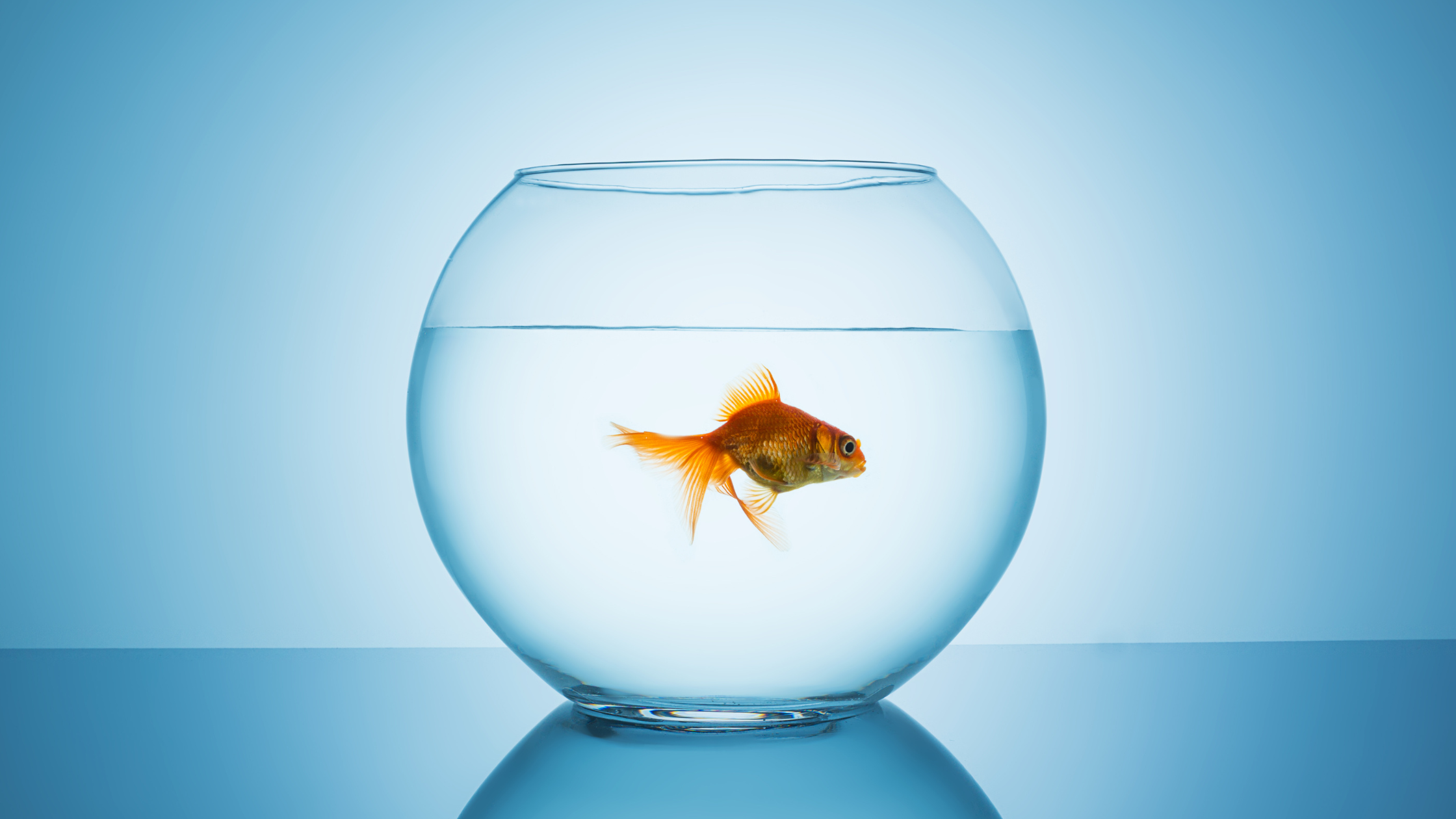 Is Your Mind Running the Show?