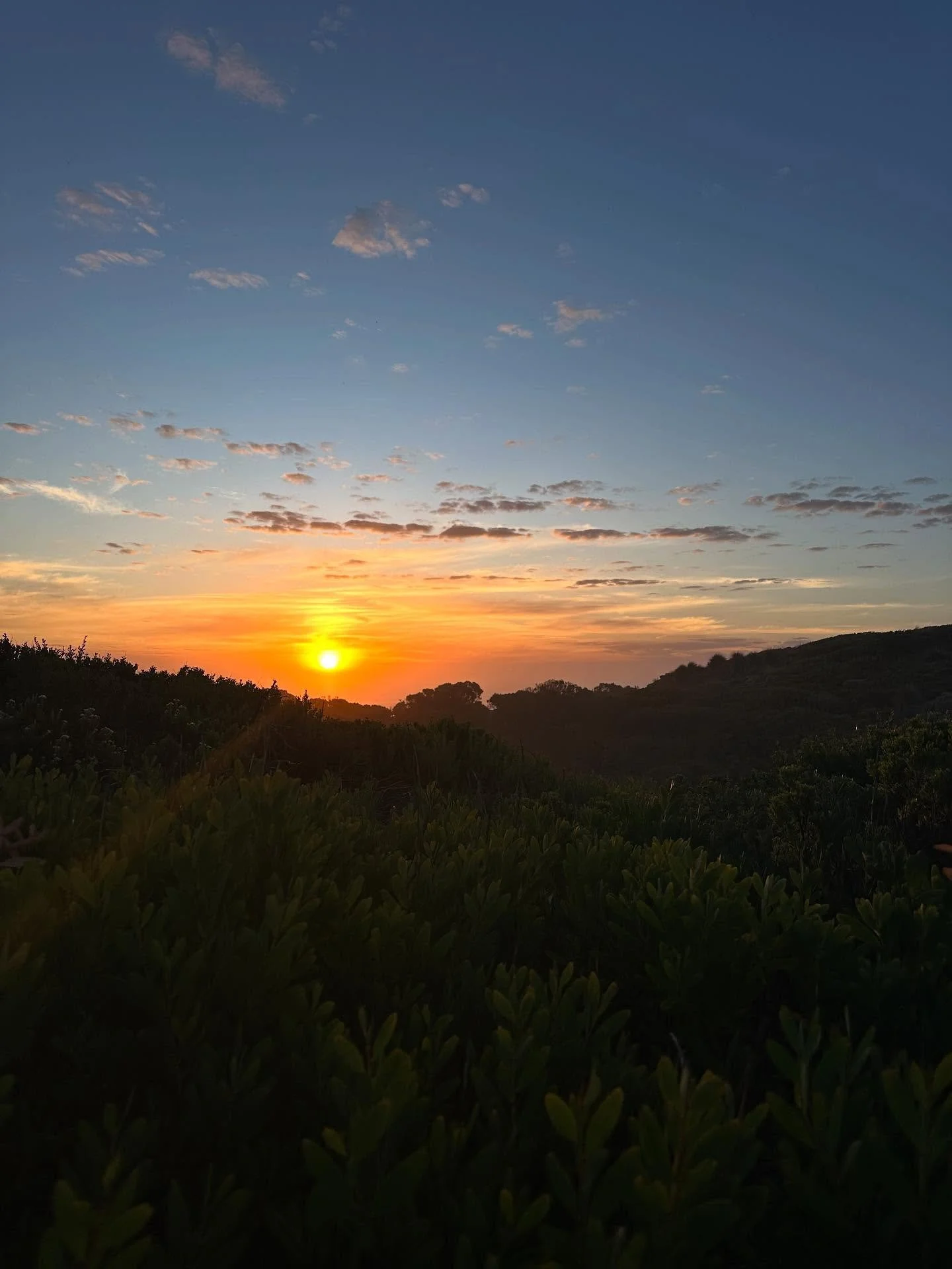 A weekend away for the first ever Motus Retreat 💚