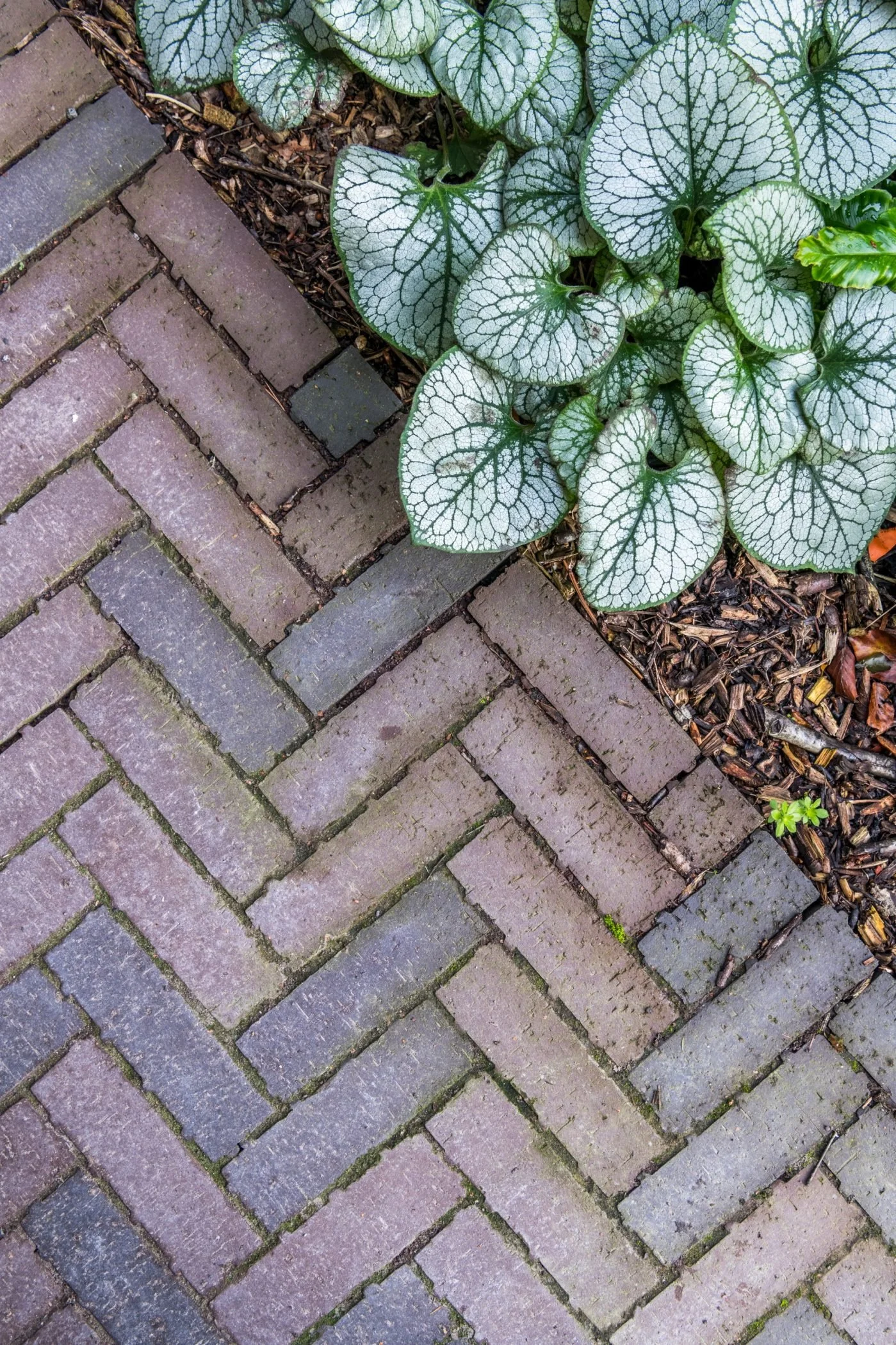 AQUATA BROWN (IO ARCHITECTS, JAO SMET, SINT-NIKLAAS)