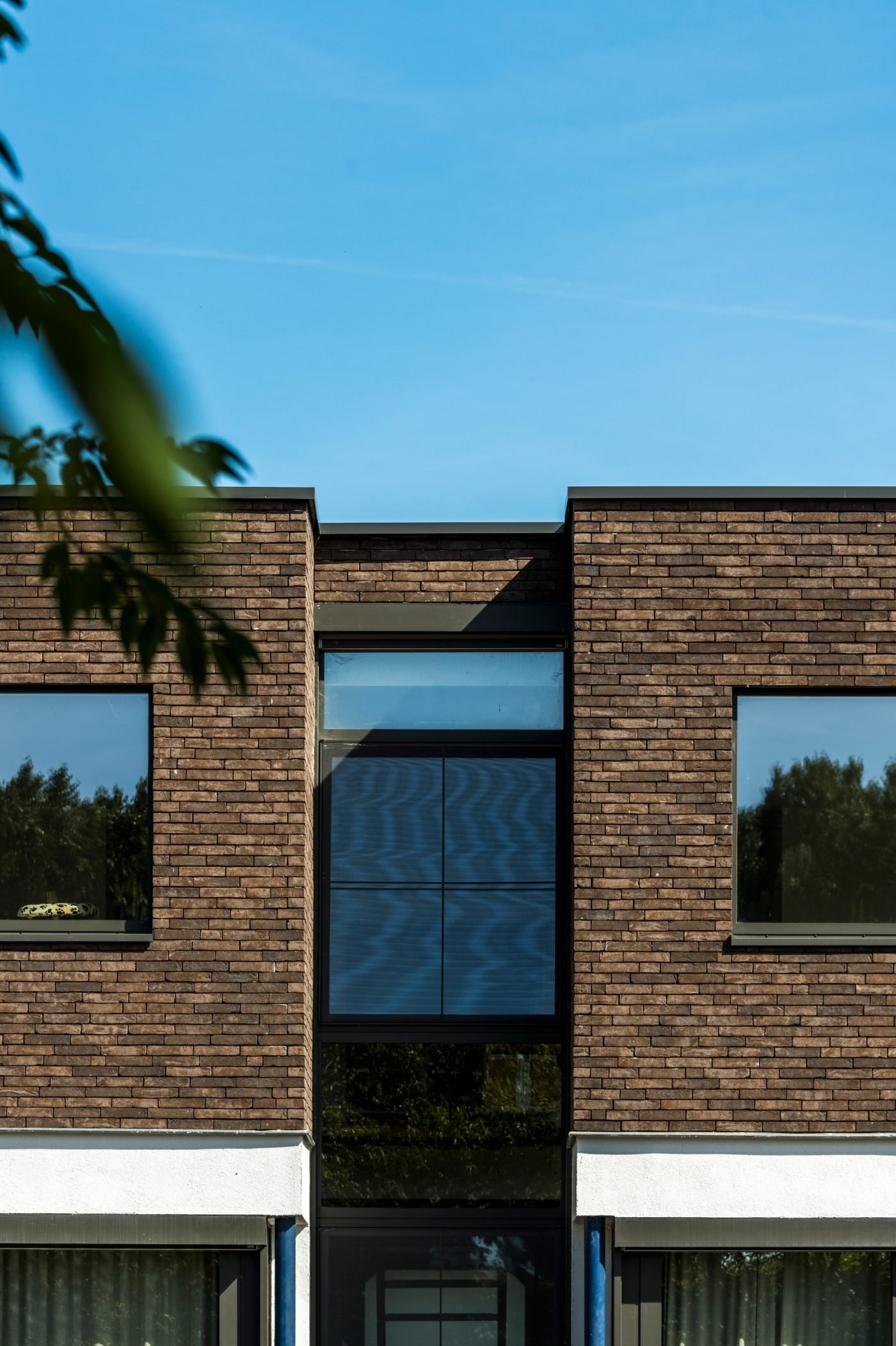 PAGUS, BROWN BLACK, HOUSE PROJECT 1