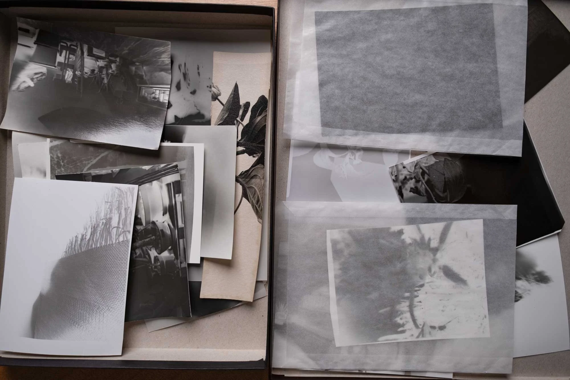 paper negatives cosa sono