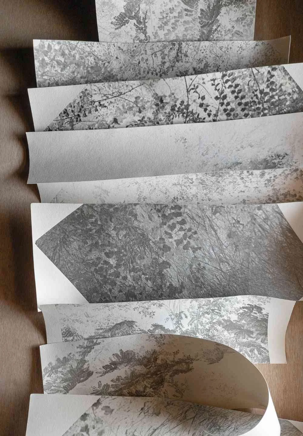 Provini carte japanese.jpg