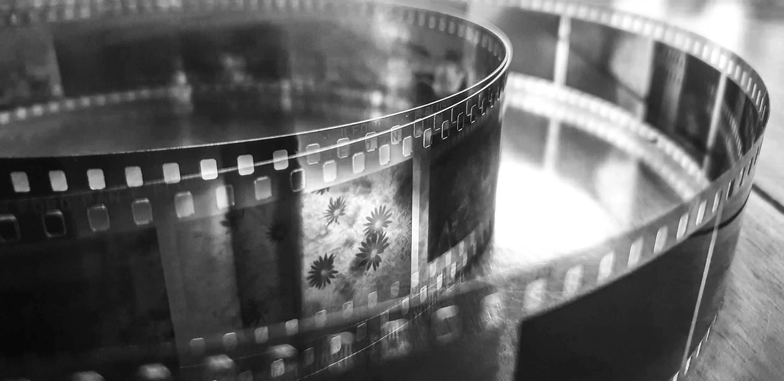 Workshop di Sviluppo Analogico · Gruppo (max 4 persone) o One-to-One