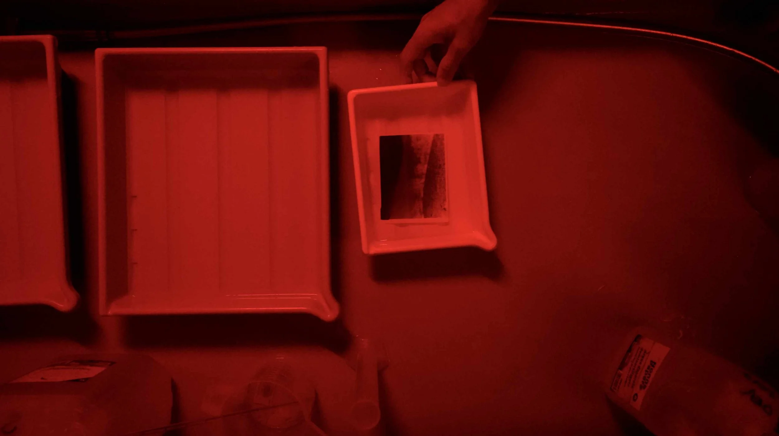 Sviluppo negativo di carta camera oscura