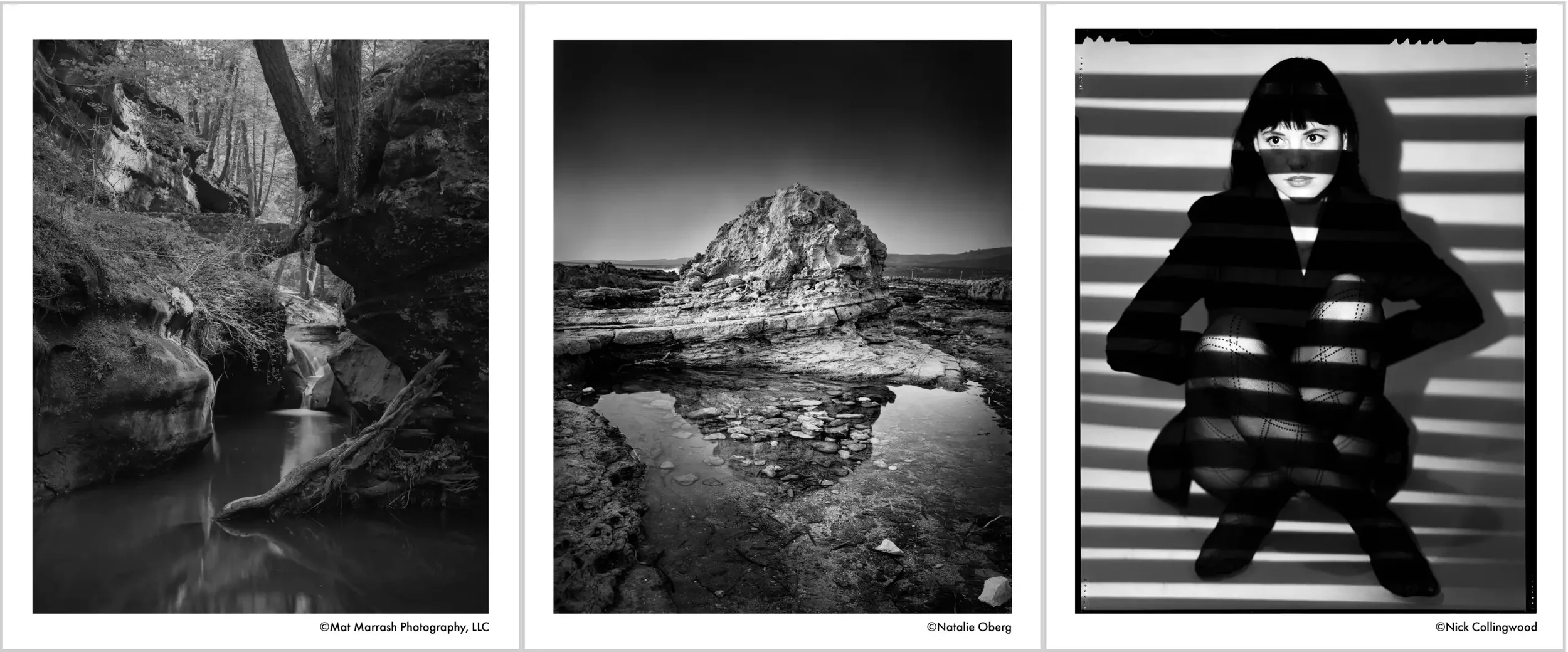 Ilford Pan 50 formato 4x5 e 8x10 esempi