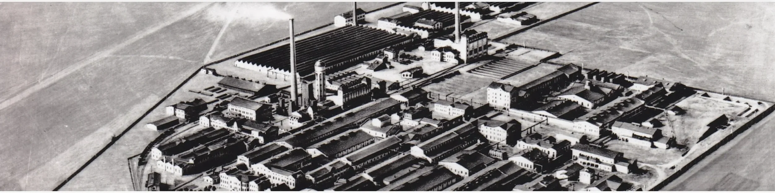 fabbrica di pellicole Wolfen OptiMono