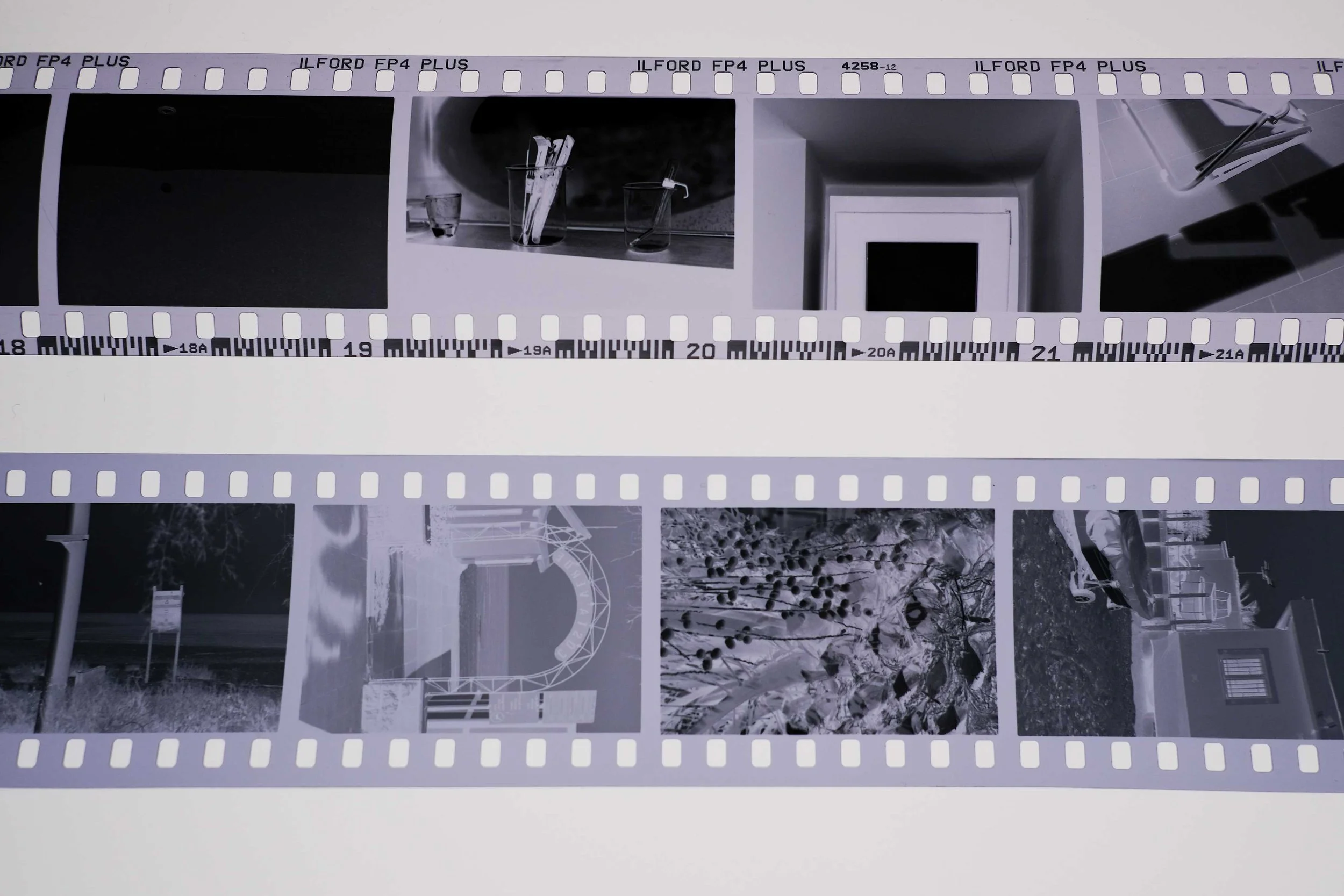 due negativi Ilford Fp4 vs. OptiMono100 a confronto